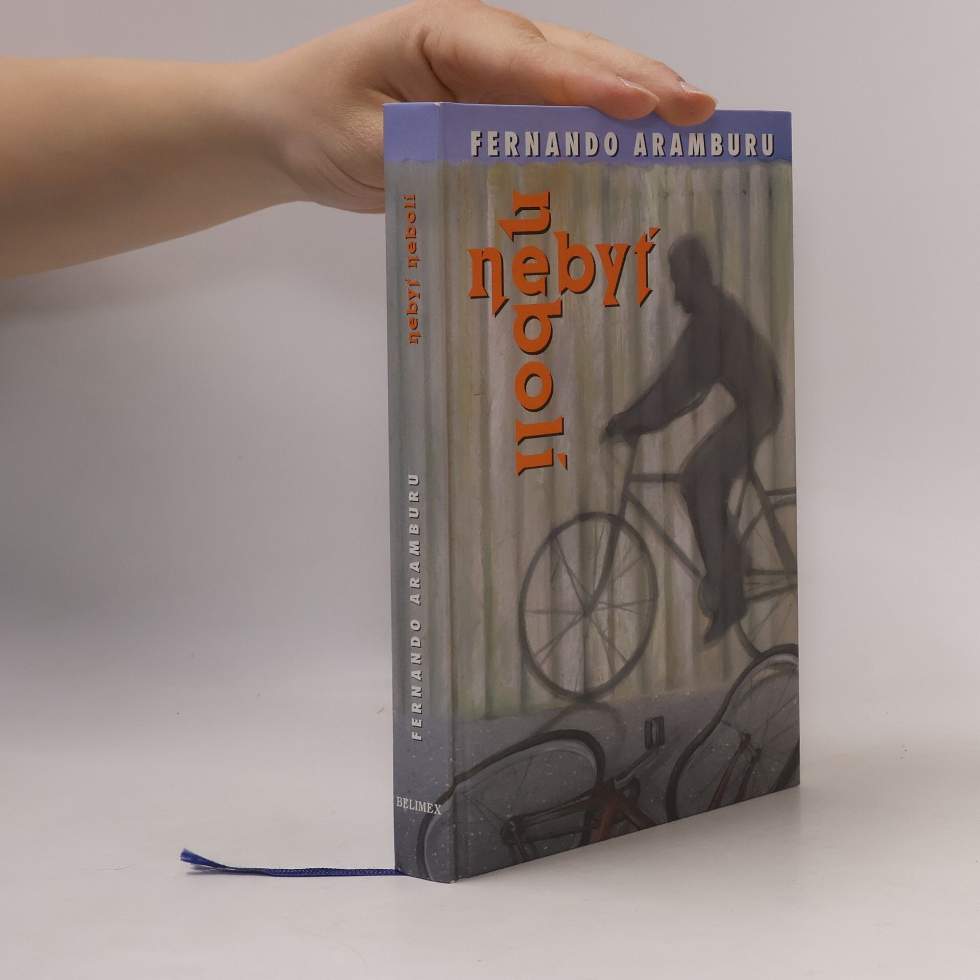 Fernando Aramburu Nebyť nebolí