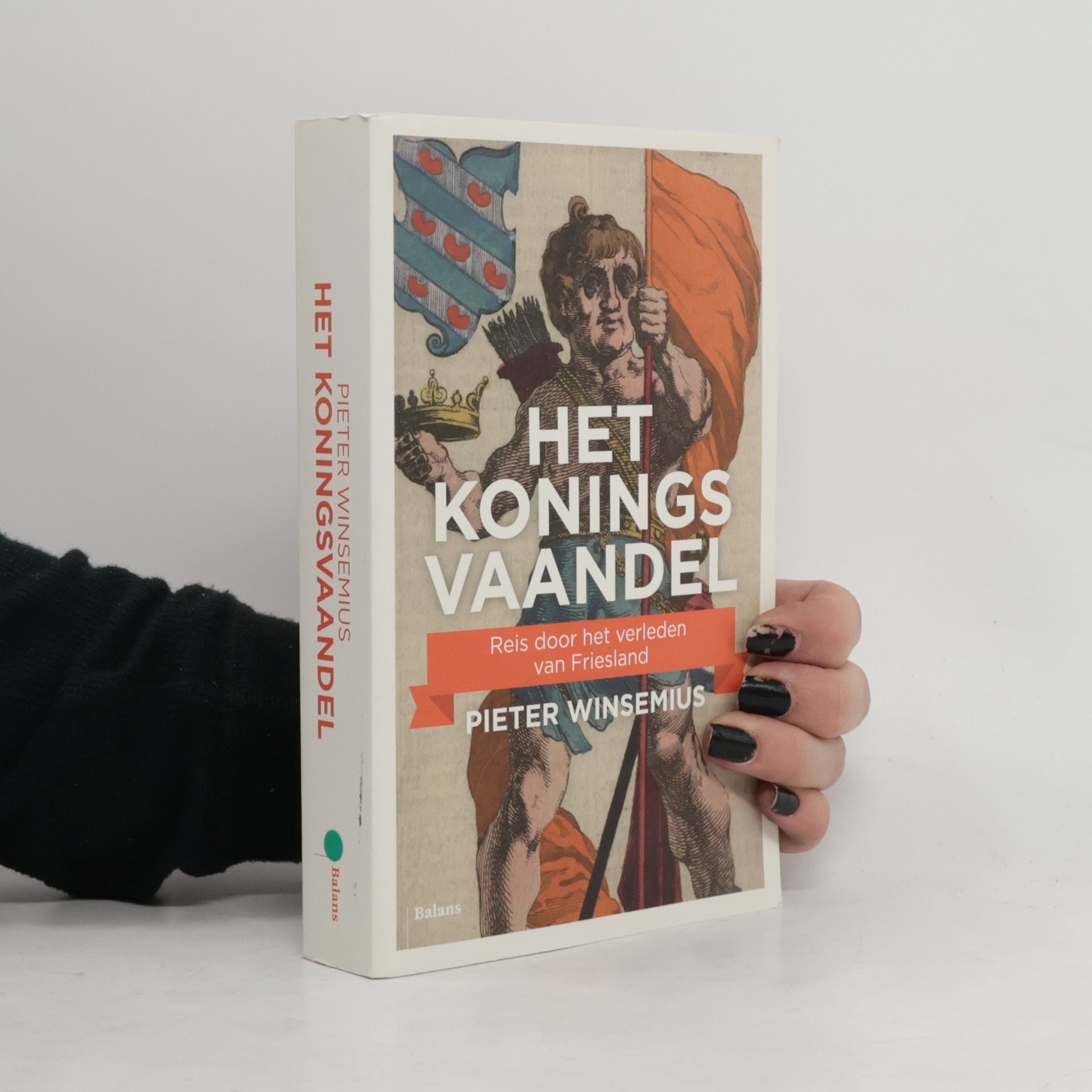 Het Koningsvaandel