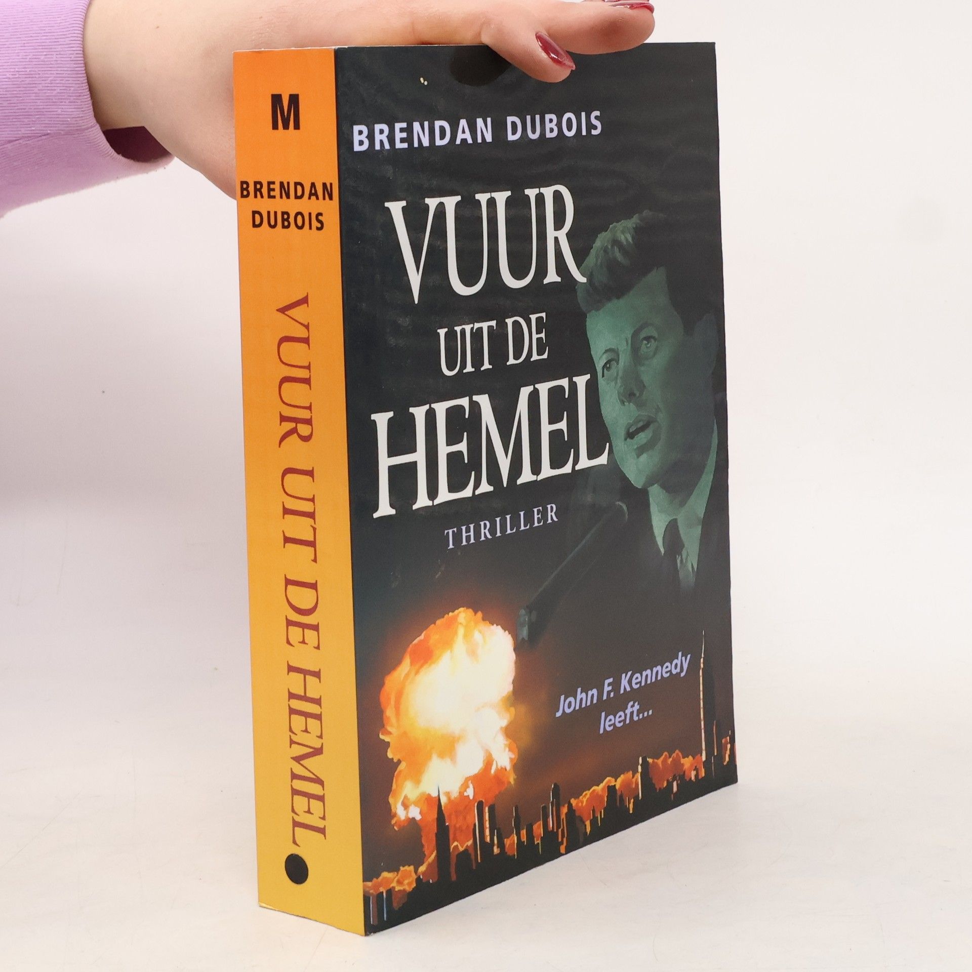 Rogier van Kappel Vuur uit de hemel