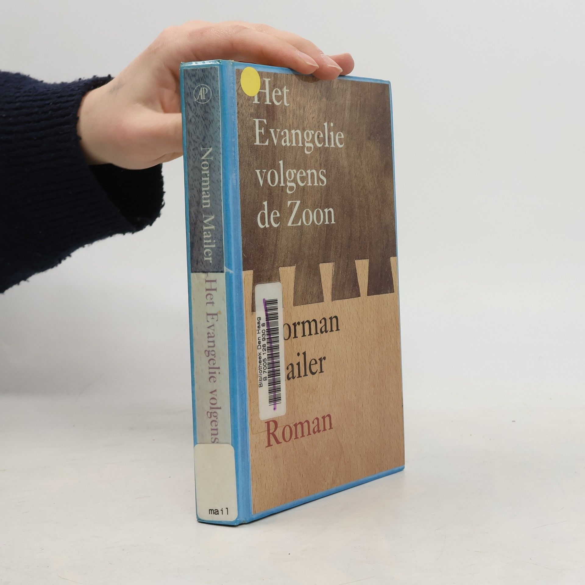 Het evangelie volgens de Zoon