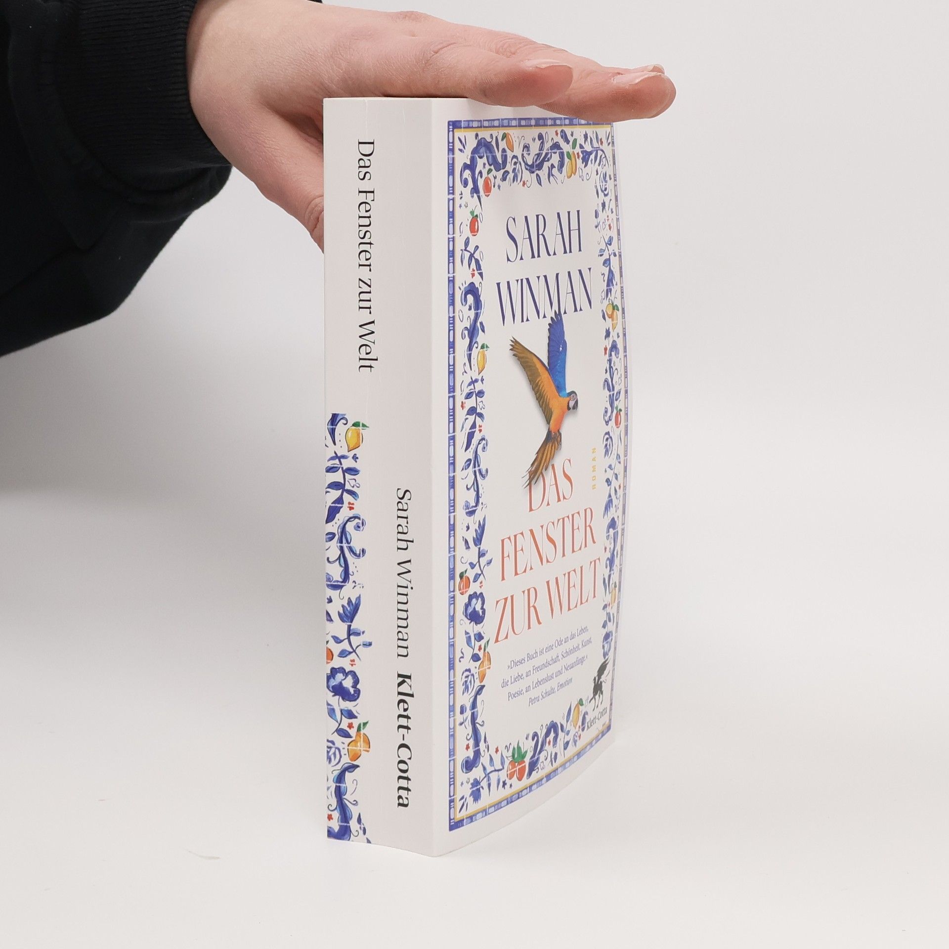 Sarah Winman Das Fenster zur Welt