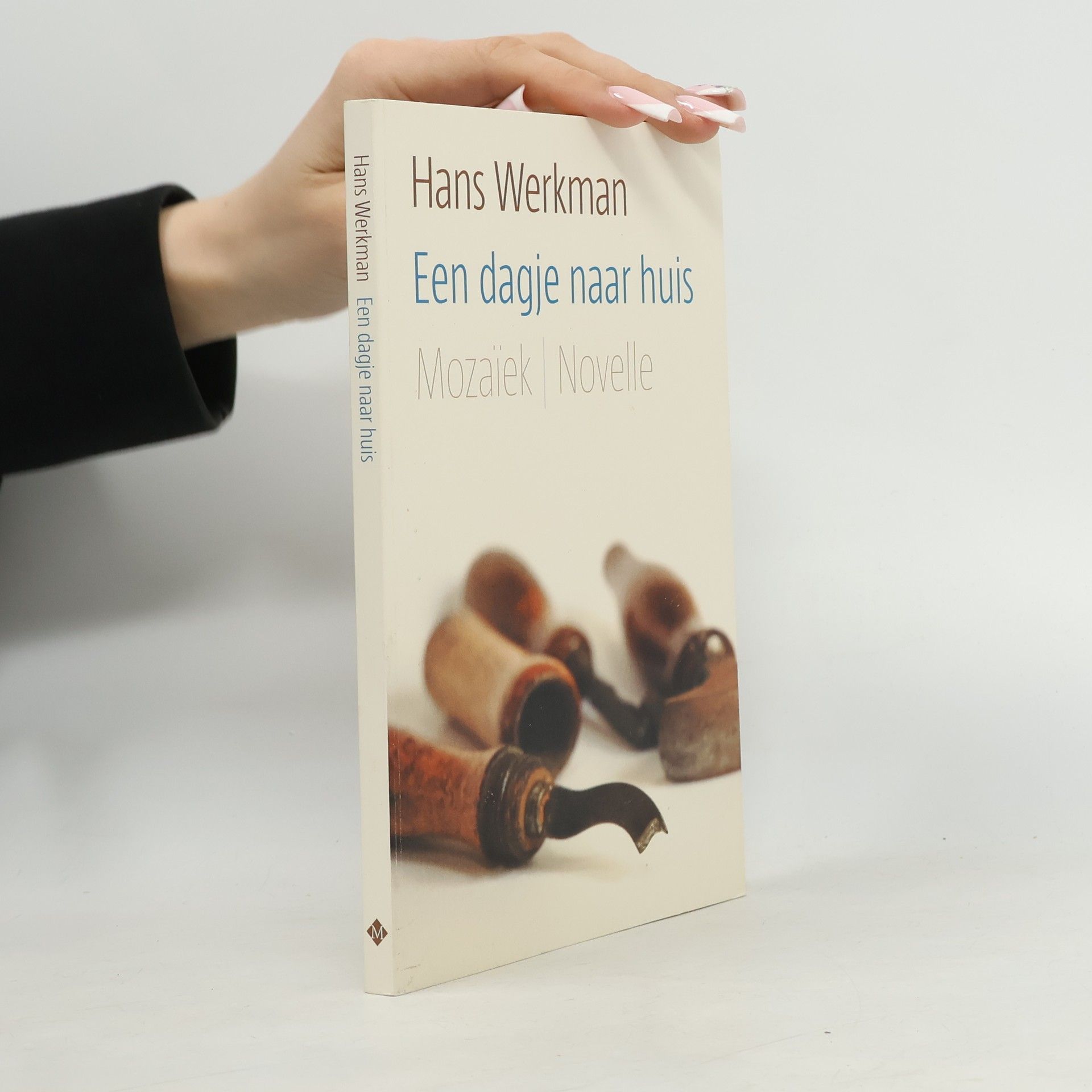 Hans Werkman Een dagje naar huis