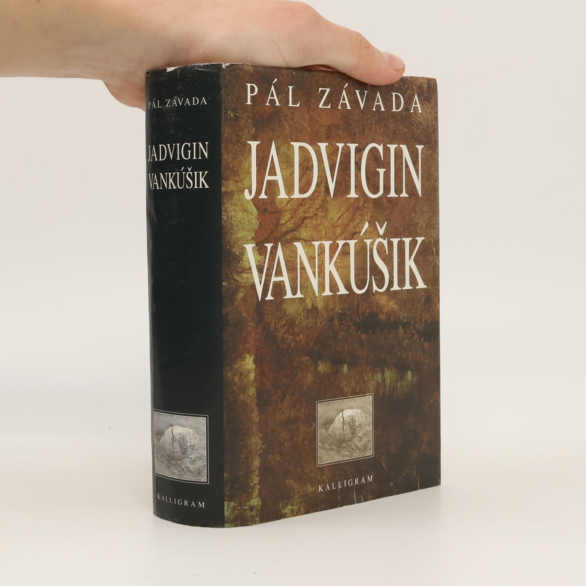 Pál Závada Jadvigin vankúšik