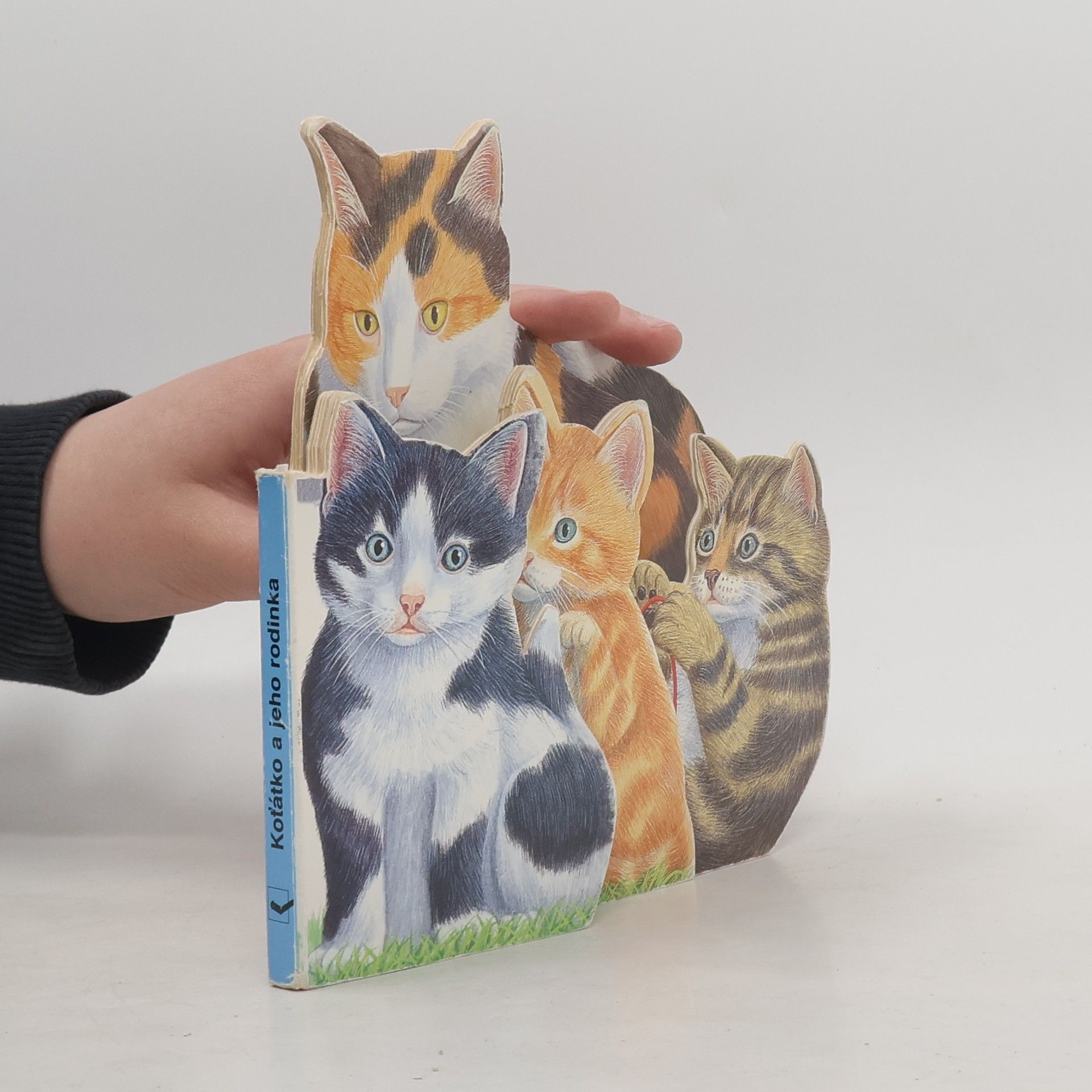 Bob Bampton Koťátko a jeho rodina