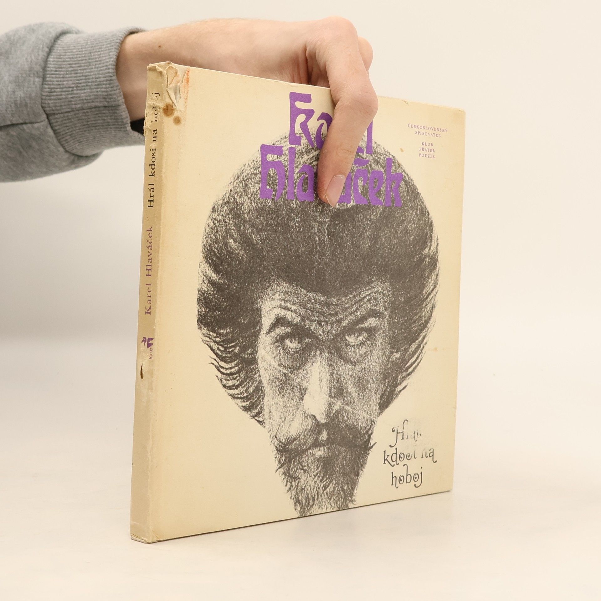 Hrál kdosi na hoboj