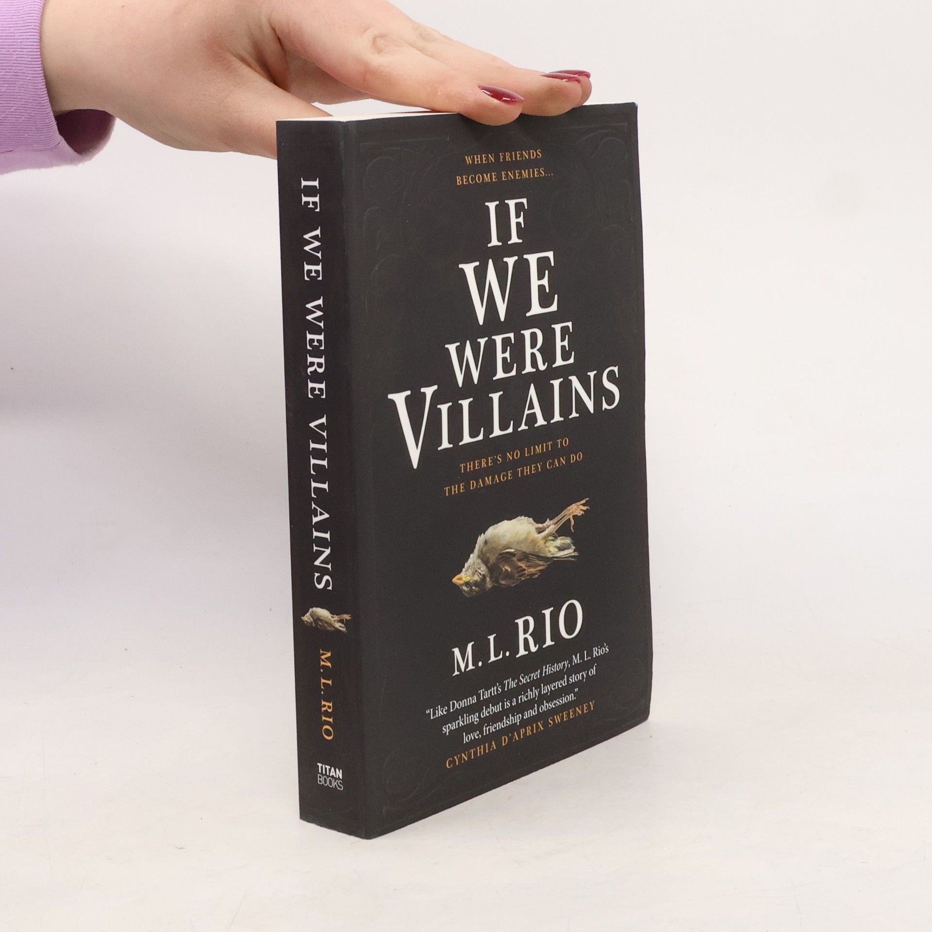 M. L. Rio If We Were Villains