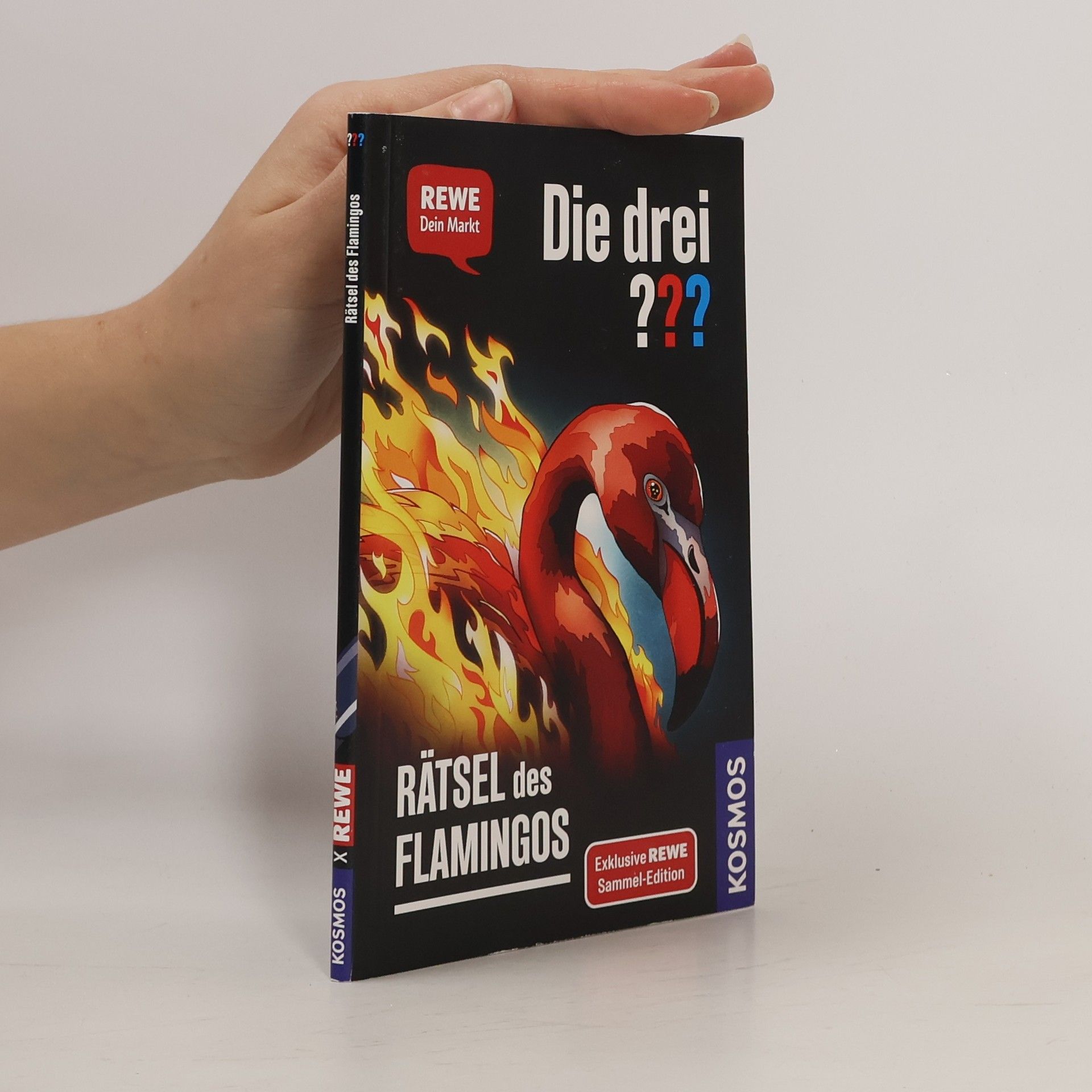 Andreas Ruch Die drei??? Rätsel des Flamingos