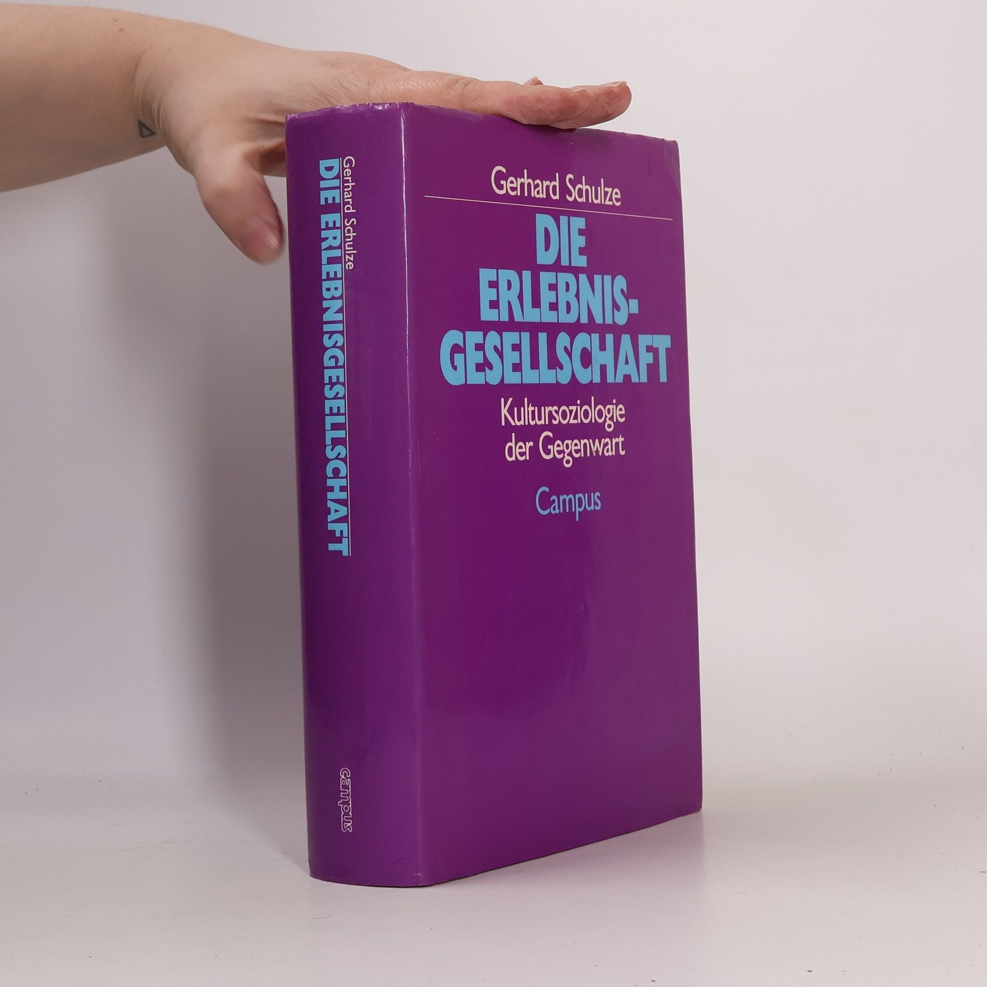 Gerhard Schulze Die Erlebnis-Gesellschaft