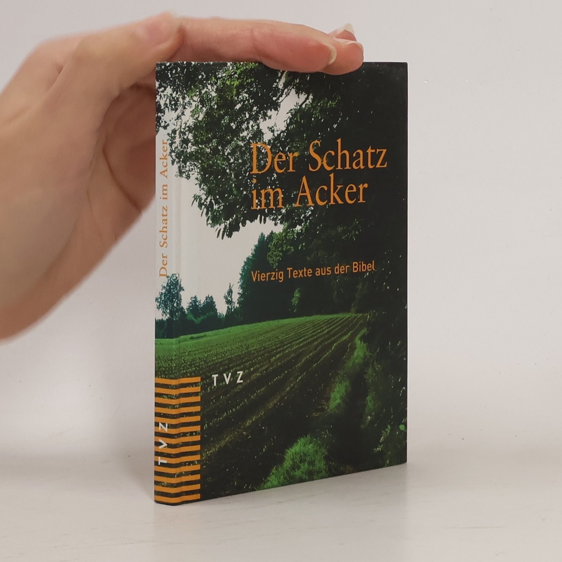 Collectif d'auteurs Der Schatz im Acker
