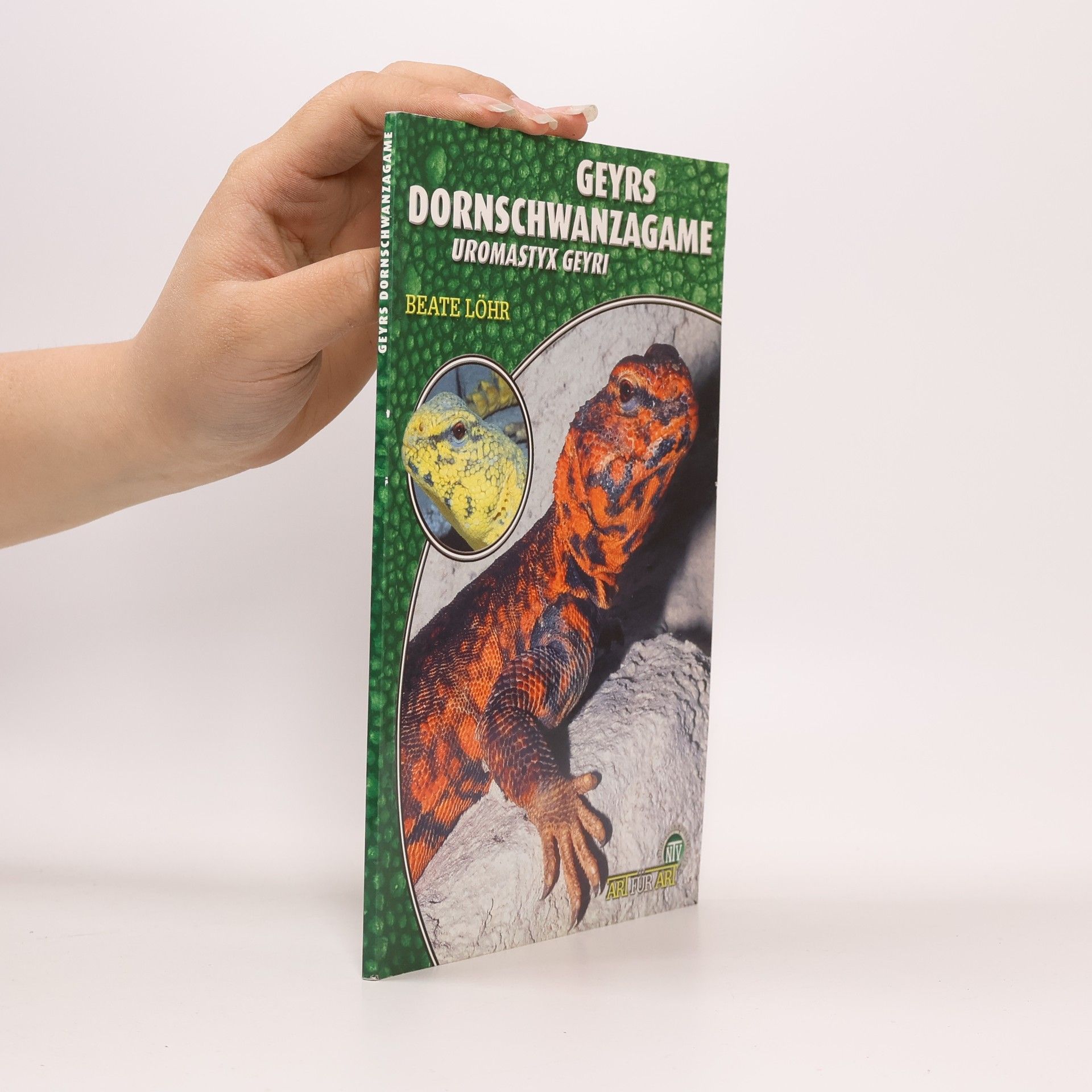 Beate Löhr Geyrs Dornschwanzagame