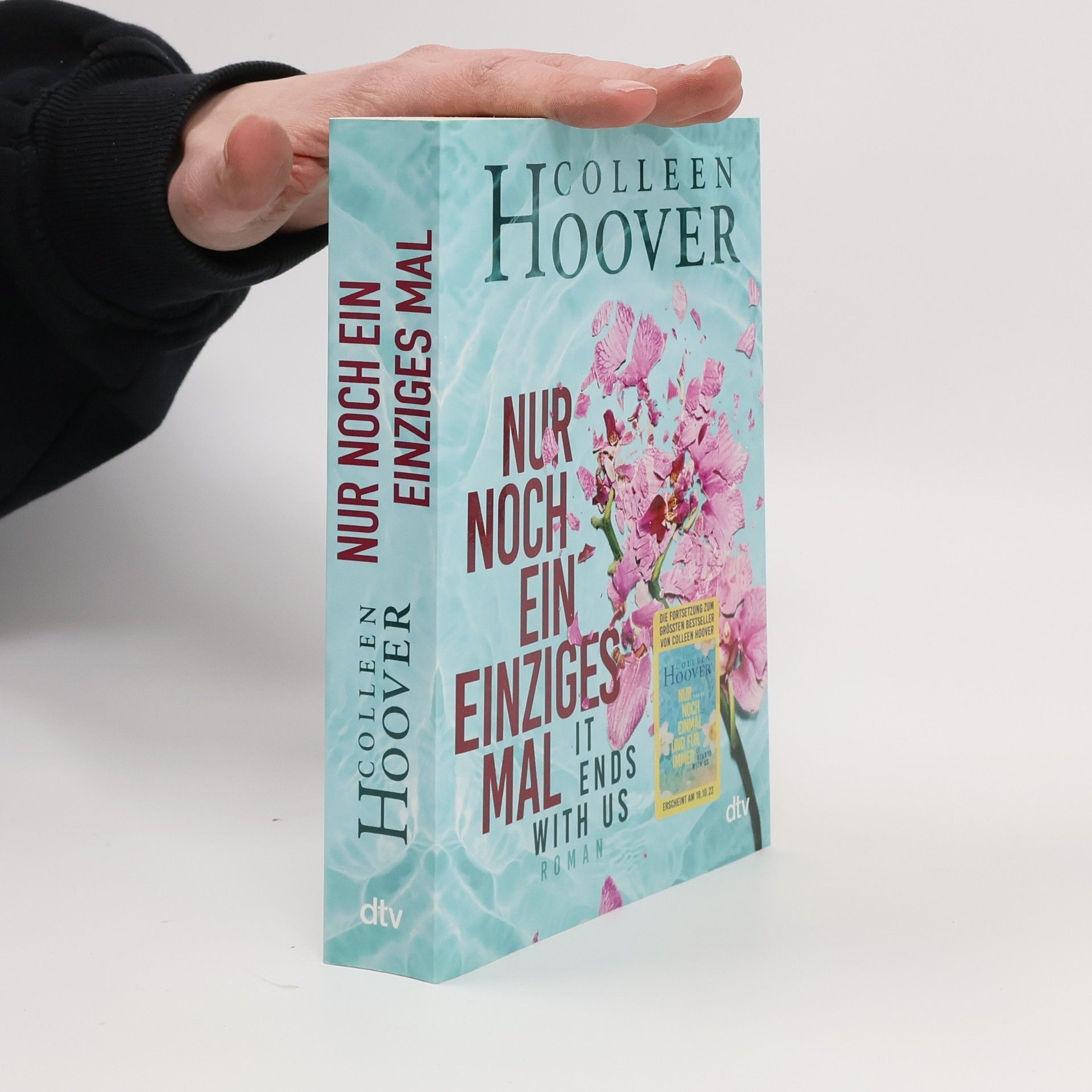 Colleen Hoover Nur noch ein einziges Mal