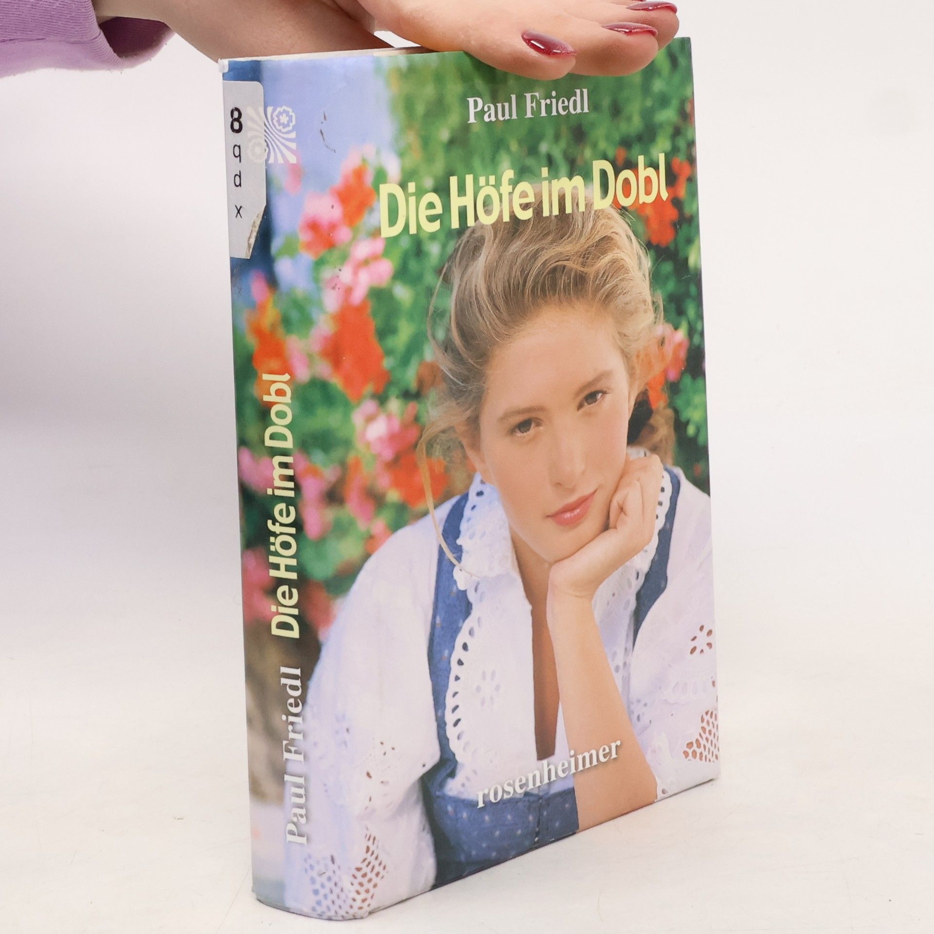 Paul Friedl Die Höfe im Dobl