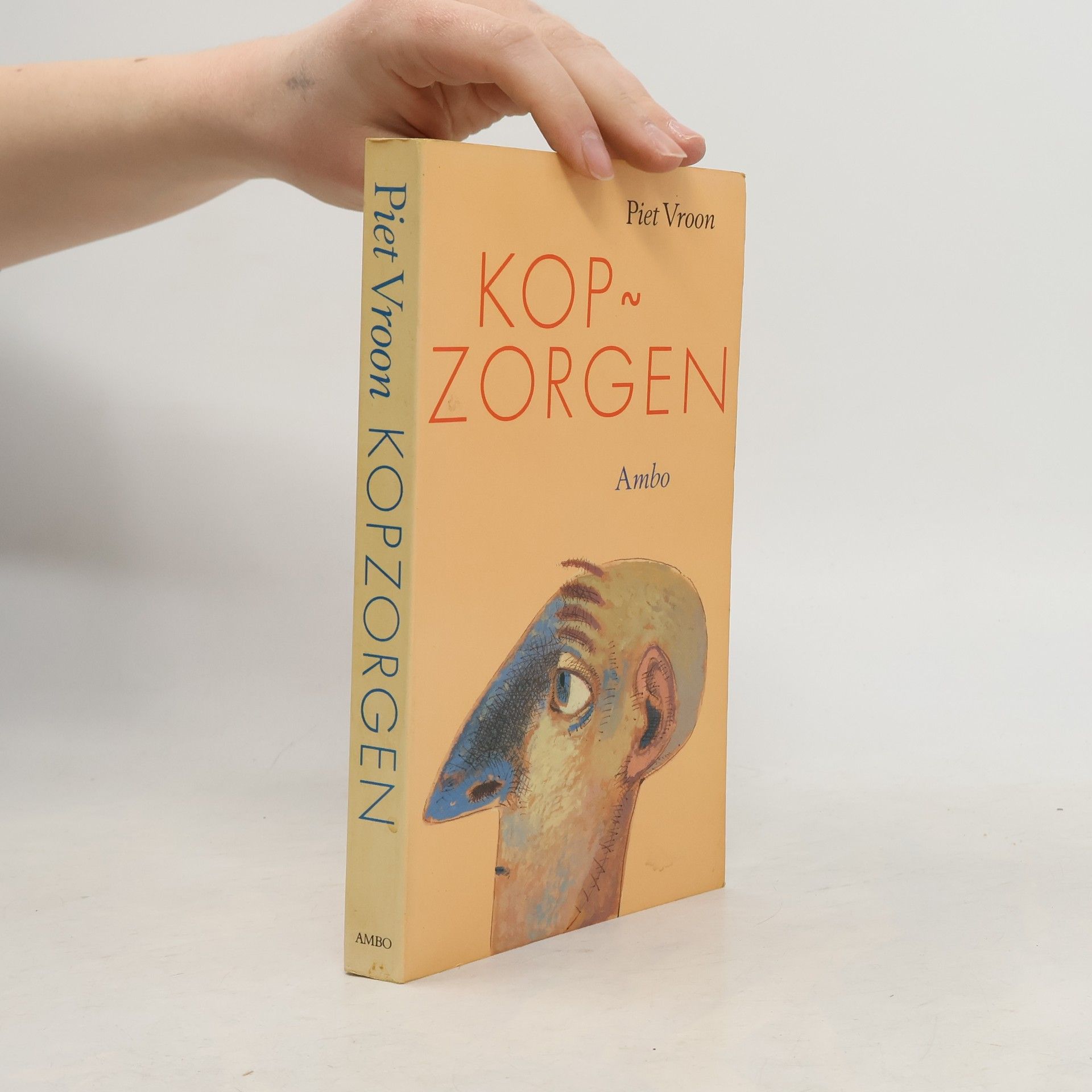 Piet A. Vroon Kopzorgen