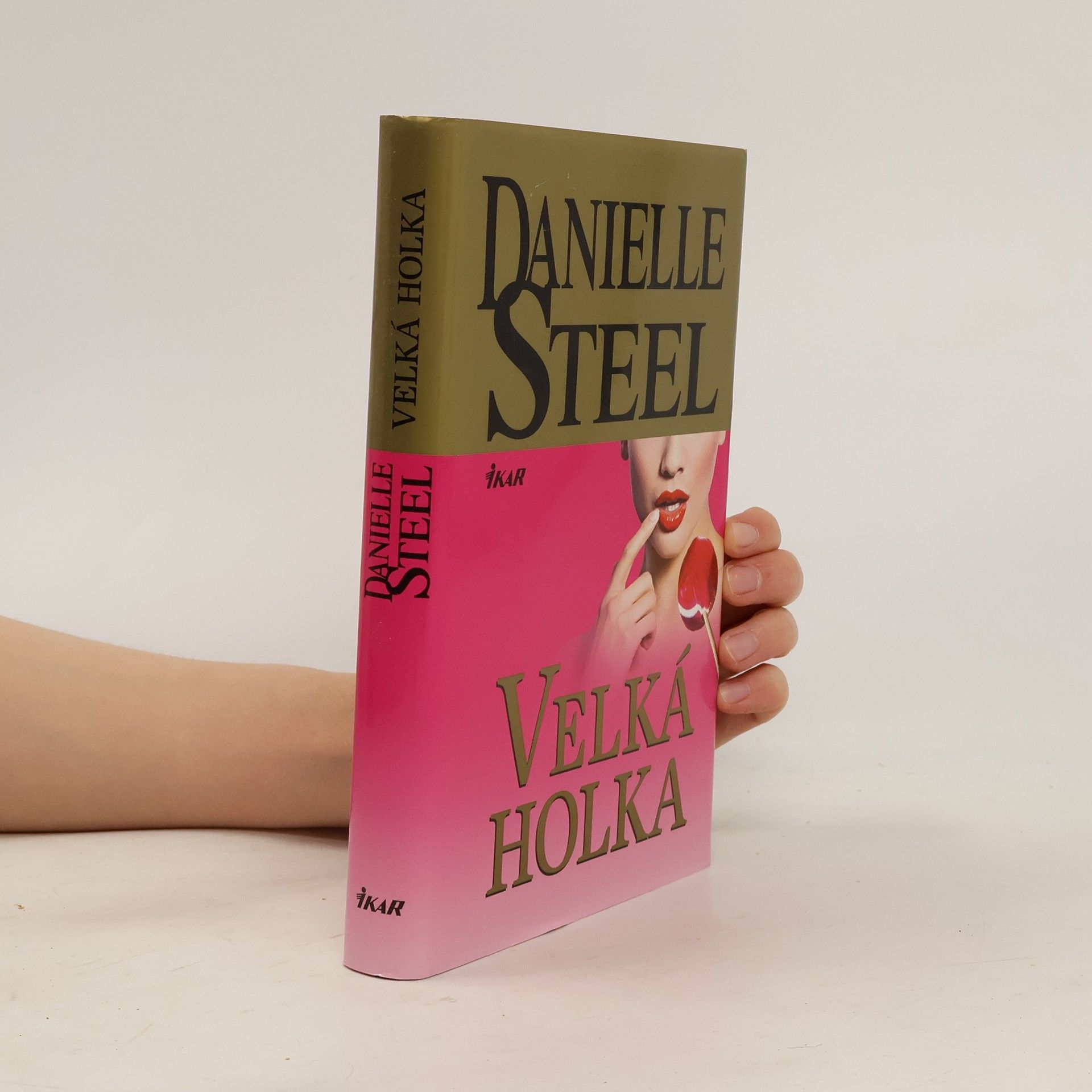 Danielle Steel Velká holka