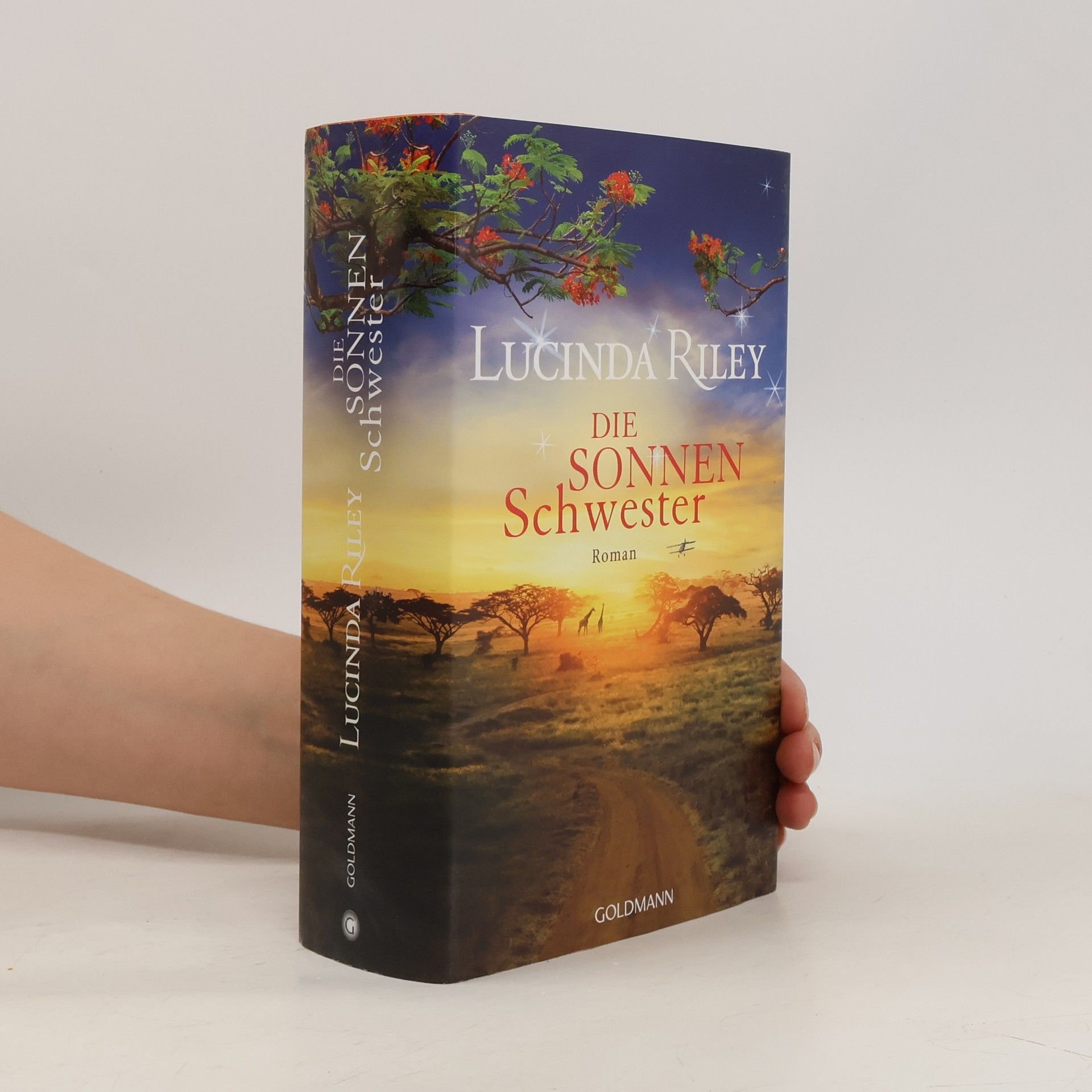 Lucinda Riley Die Sonnenschwester