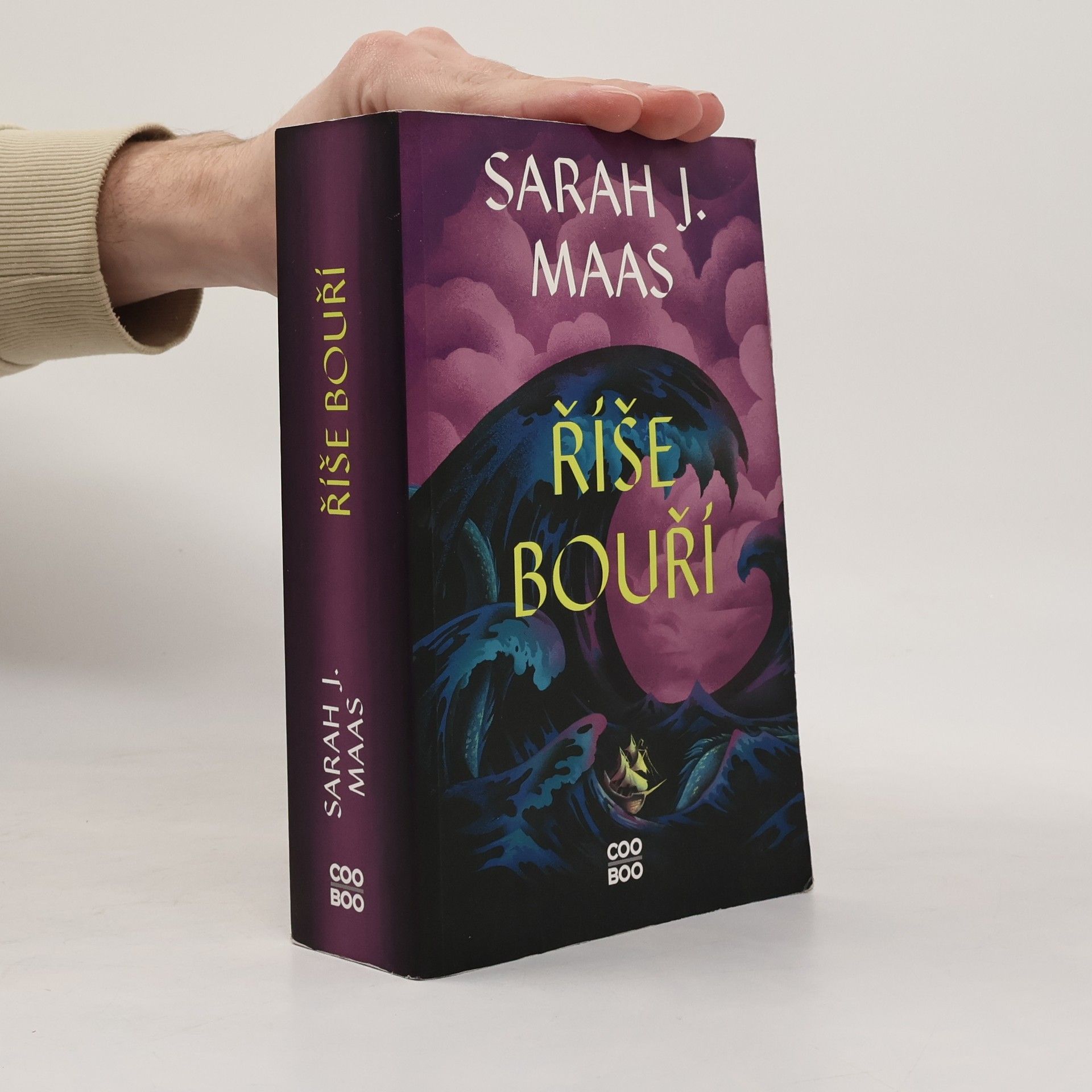 Sarah J. Maasová Říše bouří