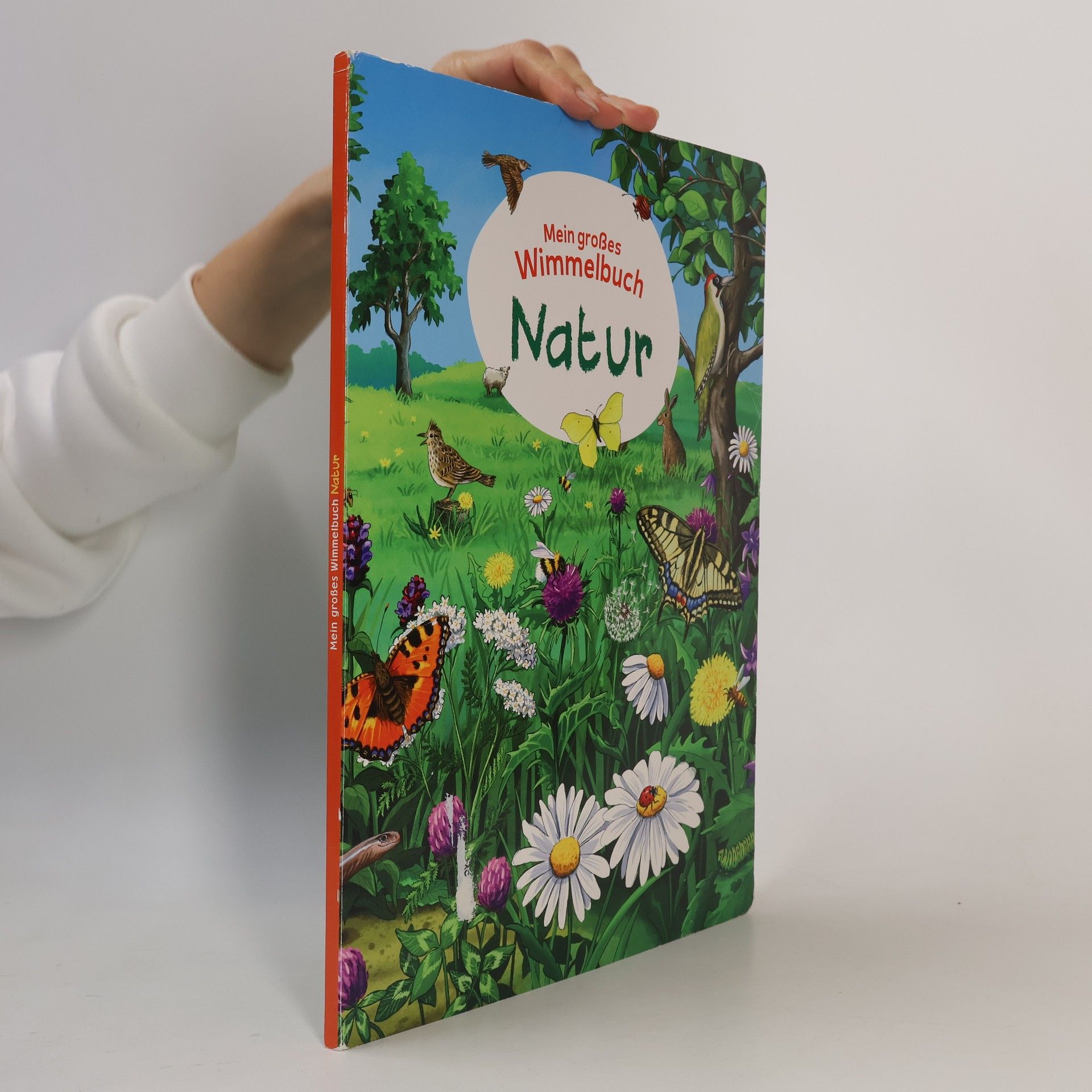 Betina Gotzen-Beek Mein grosses Wimmelbuch - Natur