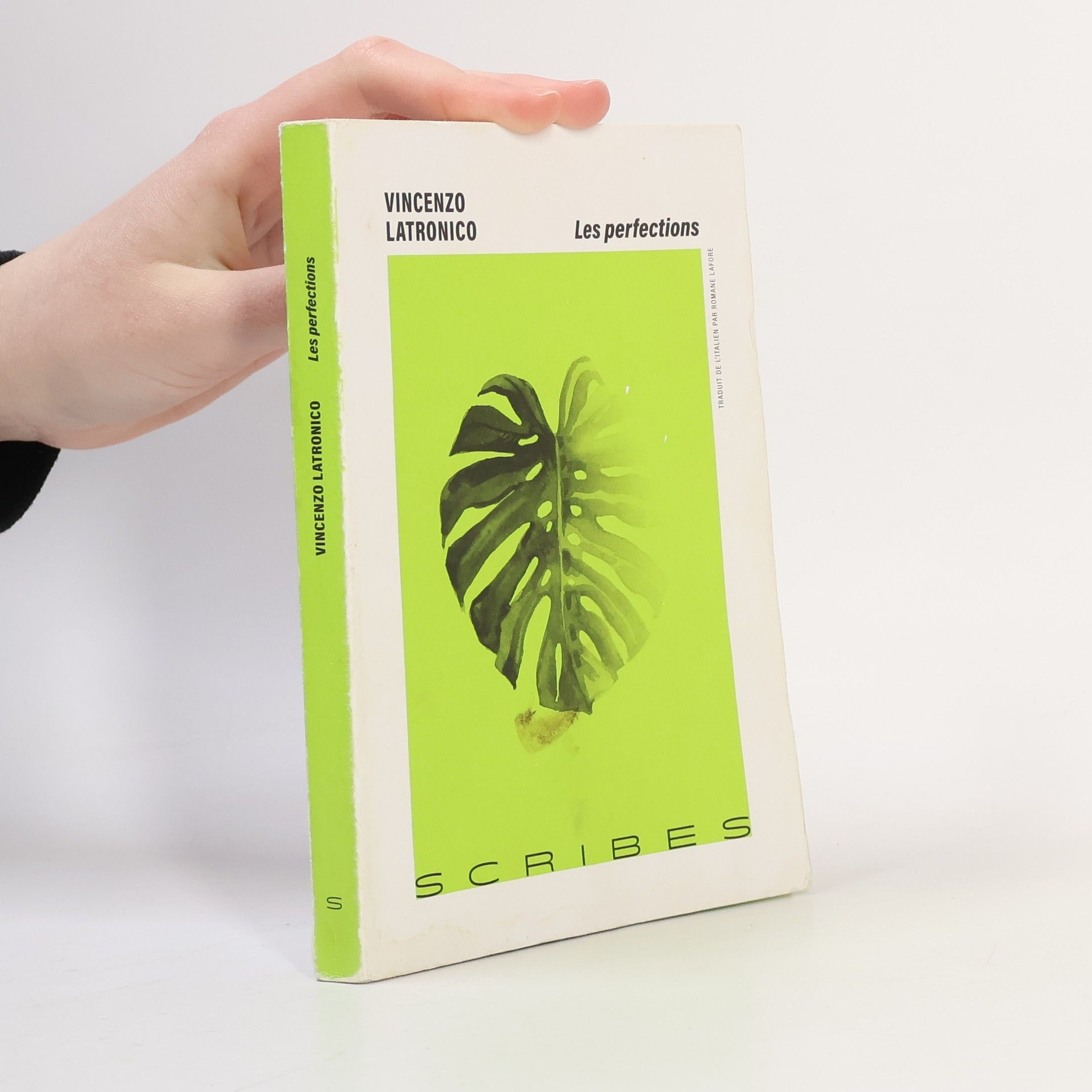 Vincenzo Latronico Les perfections