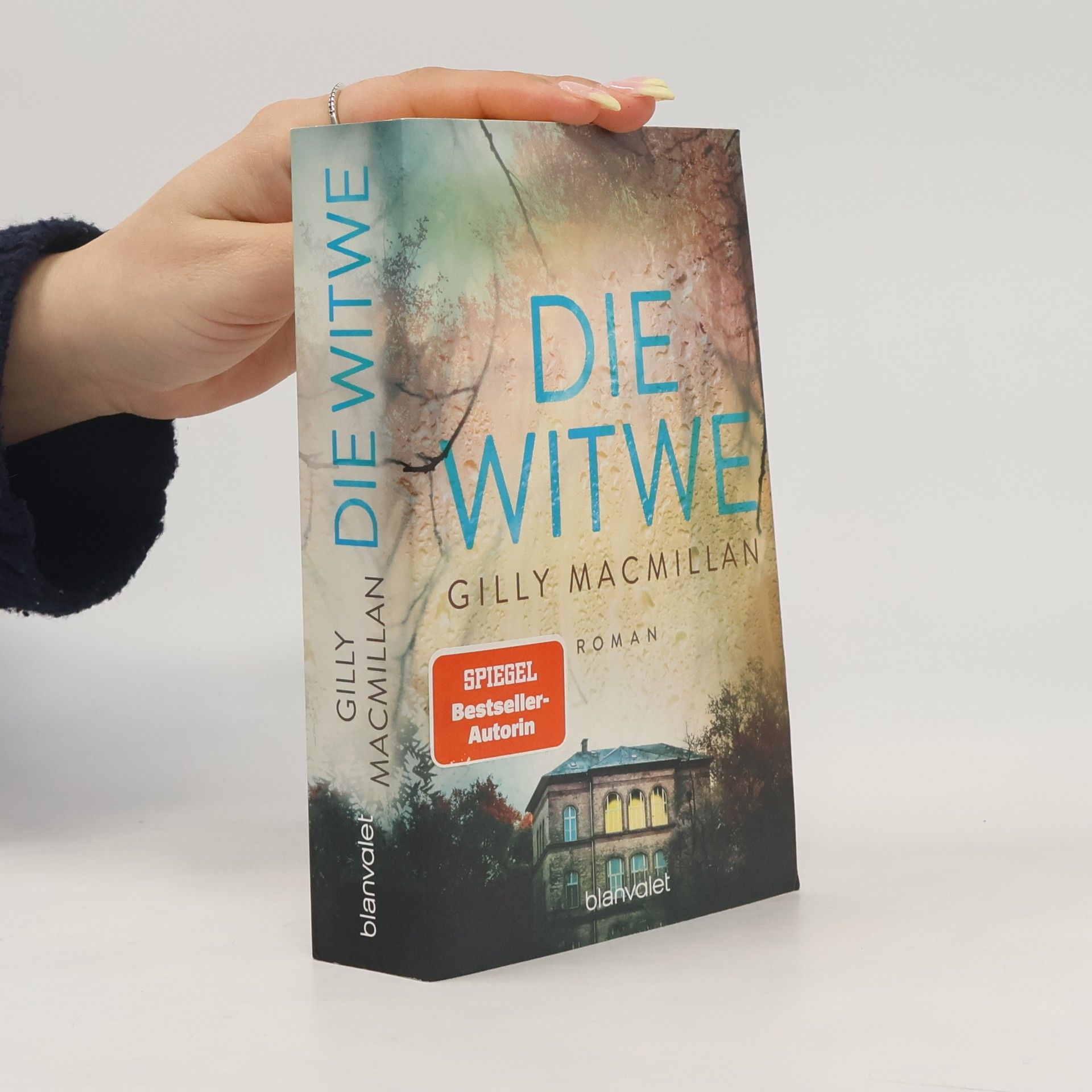 Gilly Macmillan Die Witwe