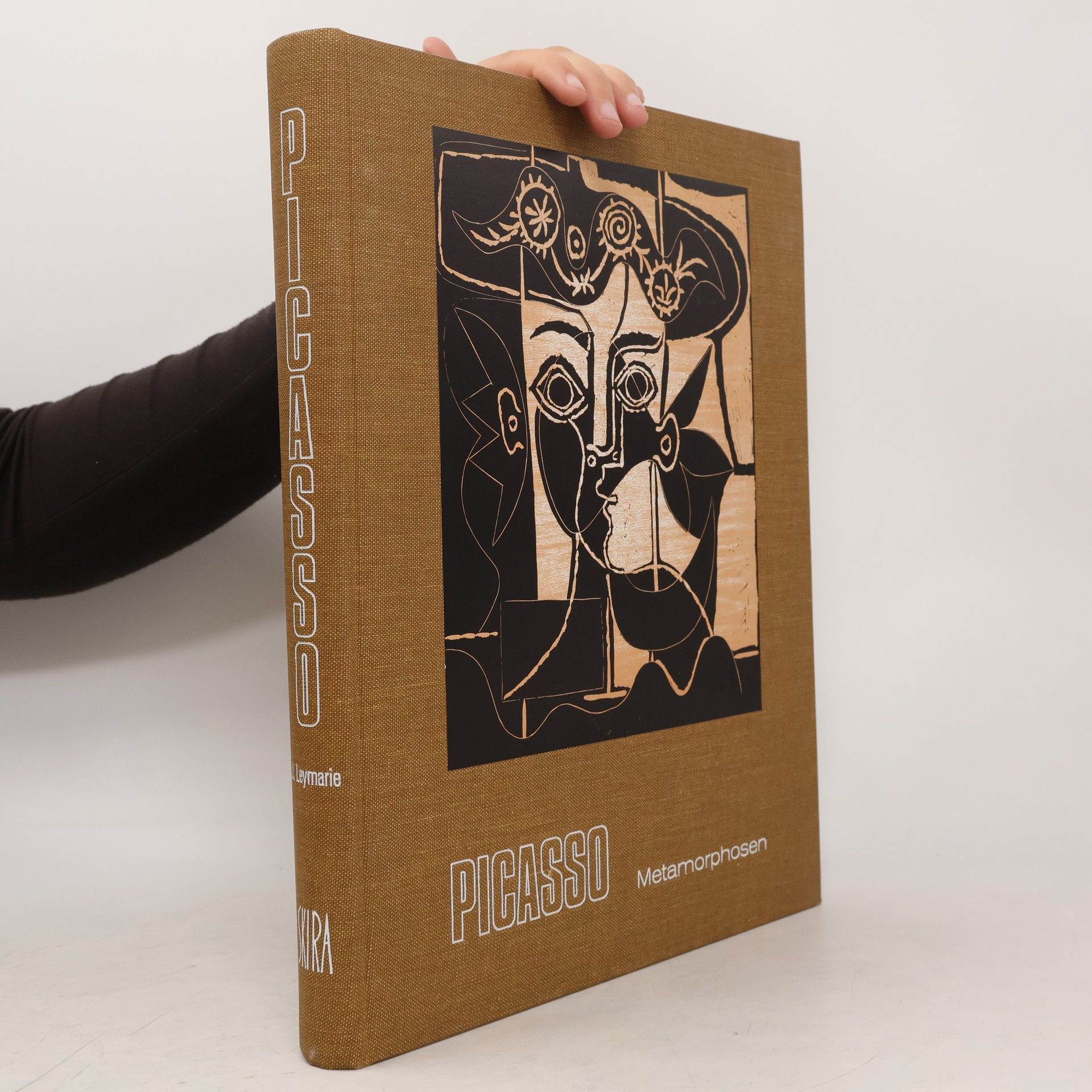 Jean Leymarie Picasso. Metamorphosen