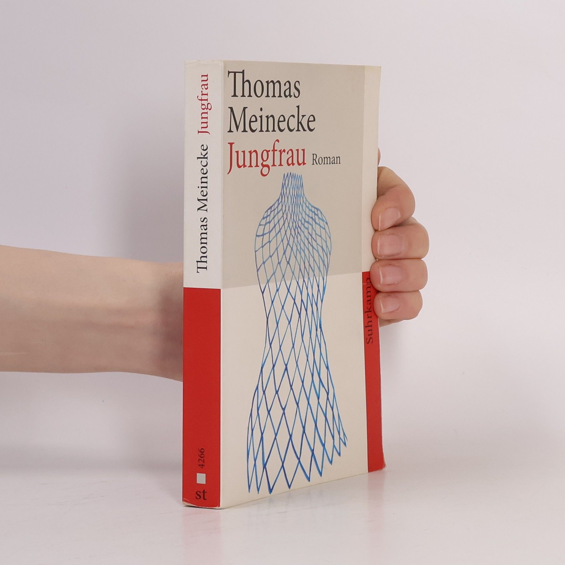 Thomas Meinecke Jungfrau