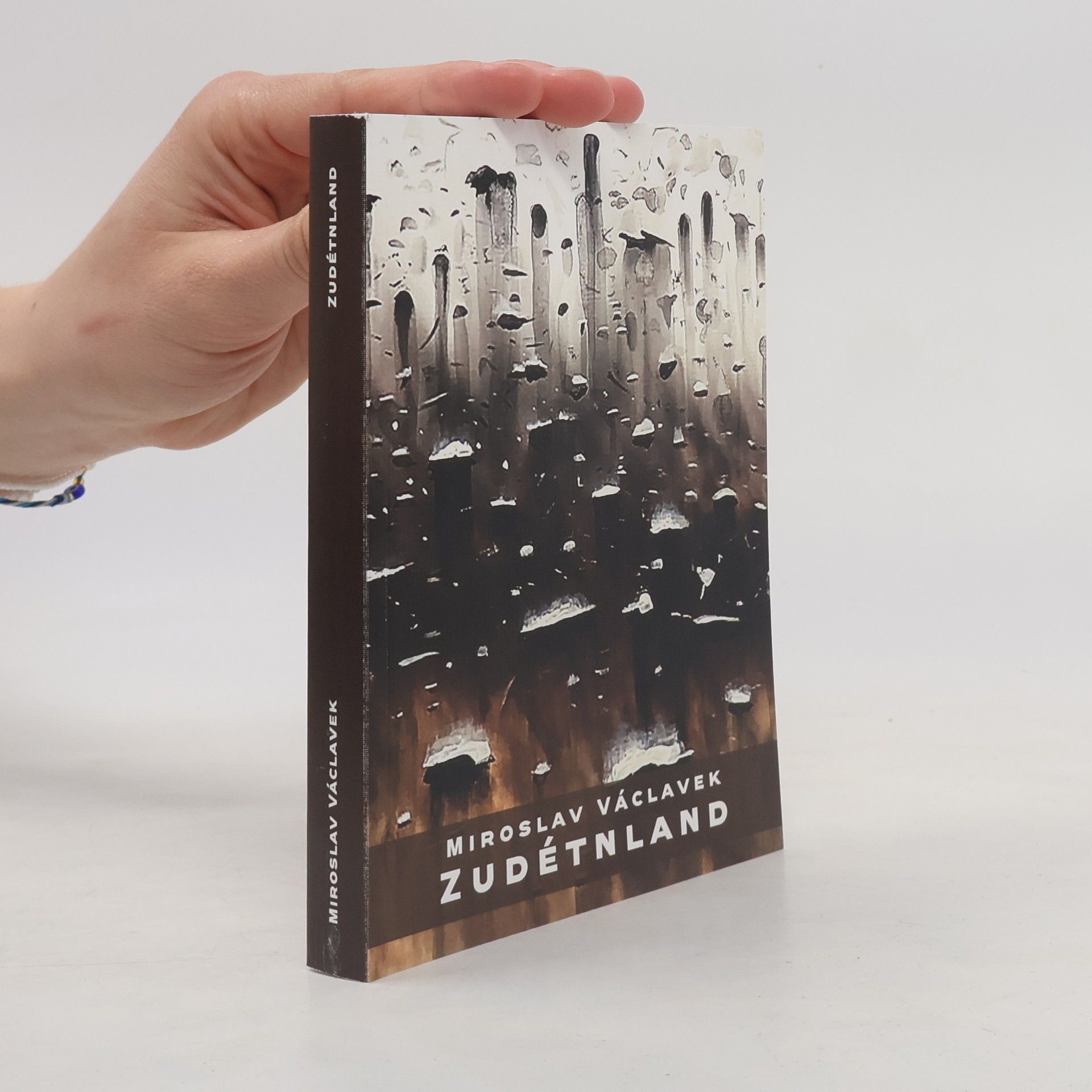 Miroslav Václavek Zudétnland