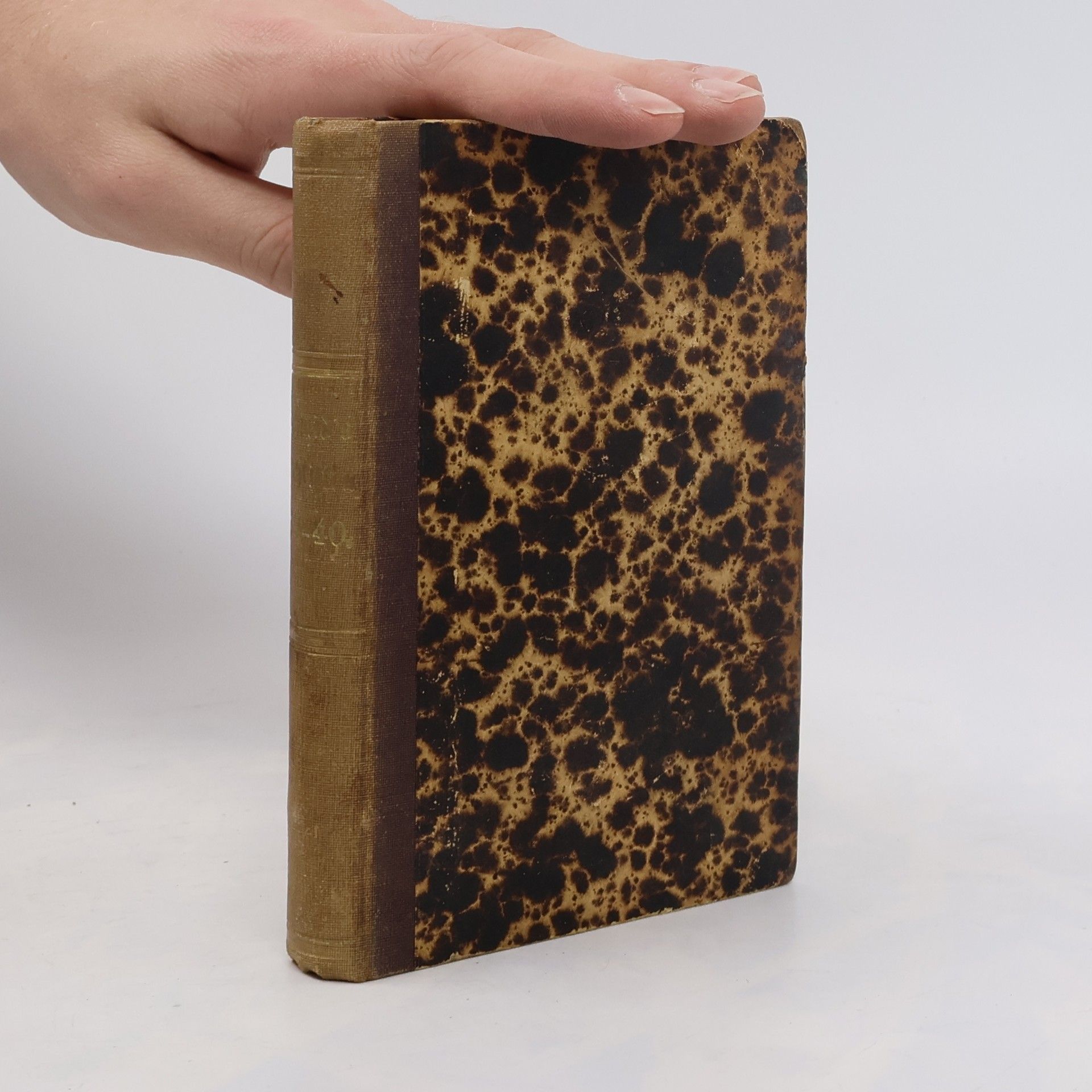 Mütze und Krone. Vierter Band