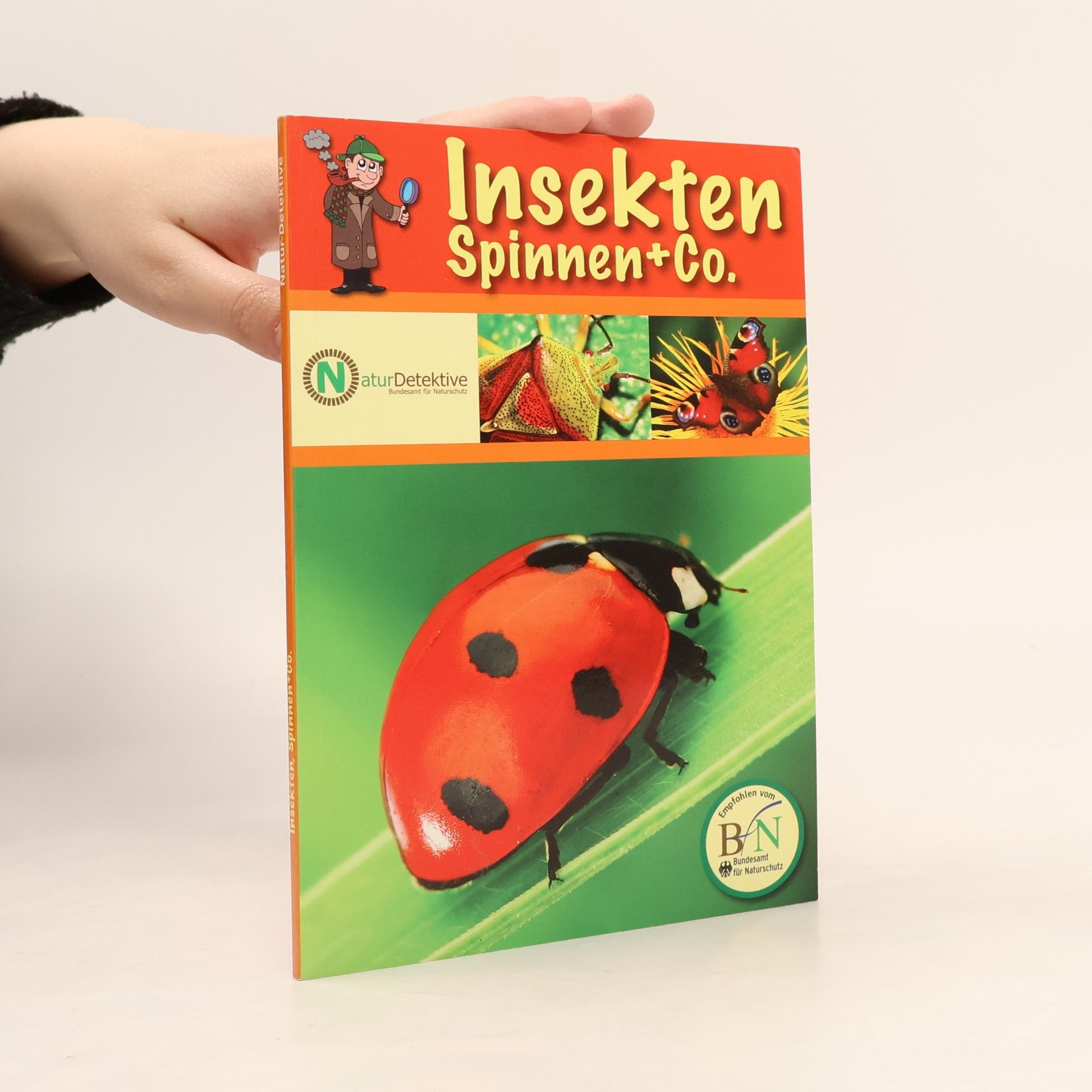 Feryal Kanbay Insekten, Spinnen + Co.