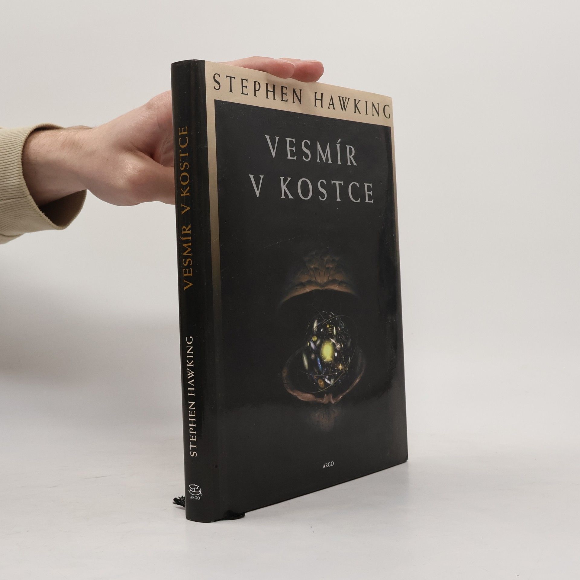 Stephen Hawking Vesmír v kostce