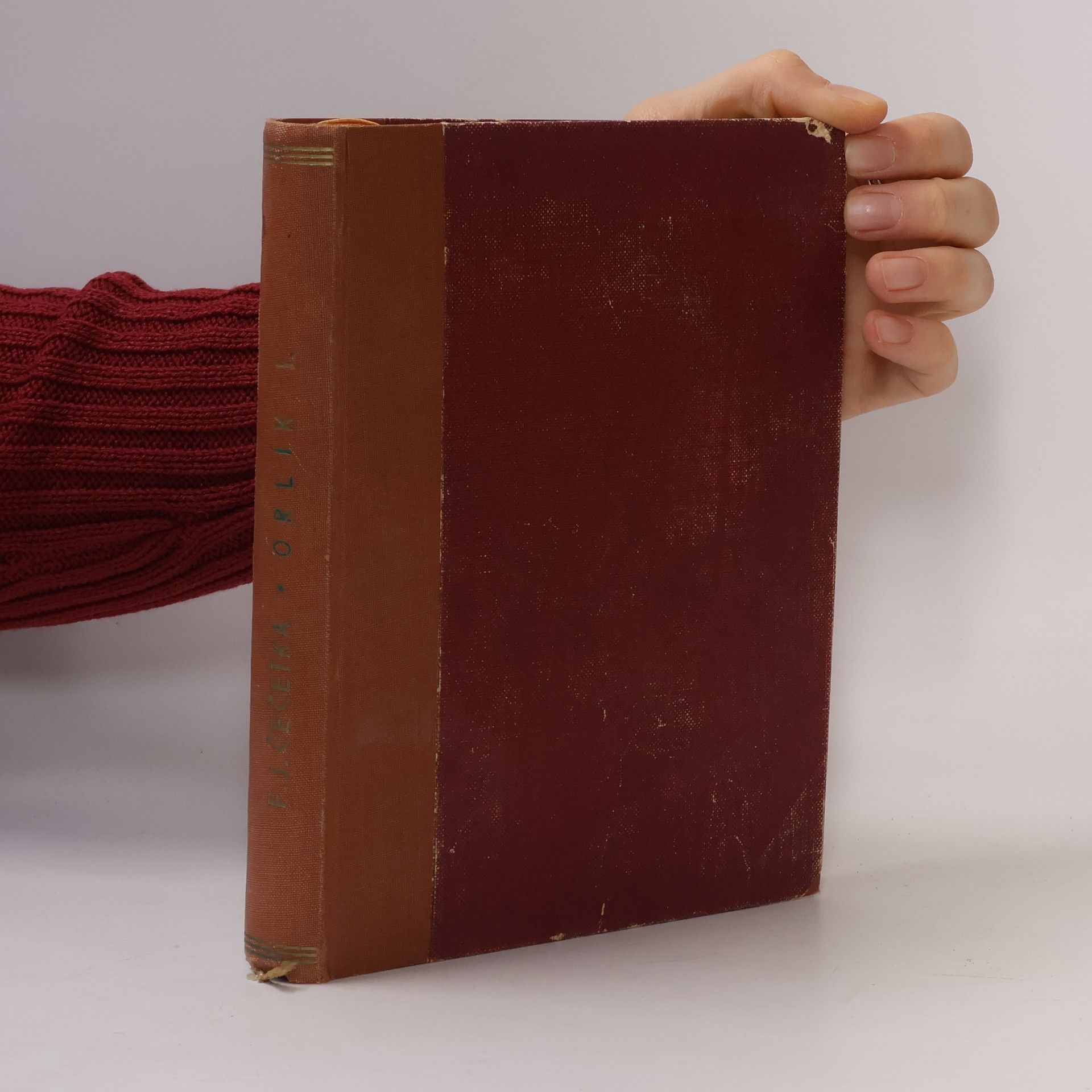 František Josef Čečetka Orlík. Syn Napoleonův I.