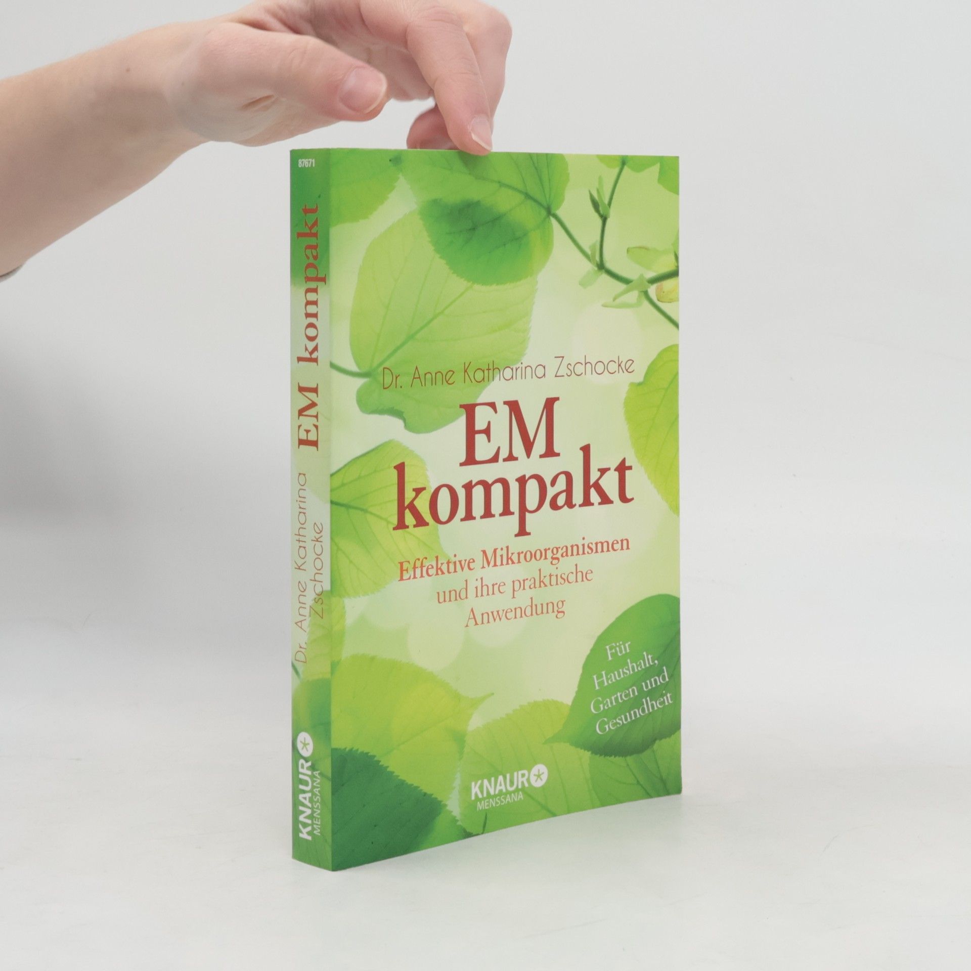 Anne Katharina Zschocke EM kompakt