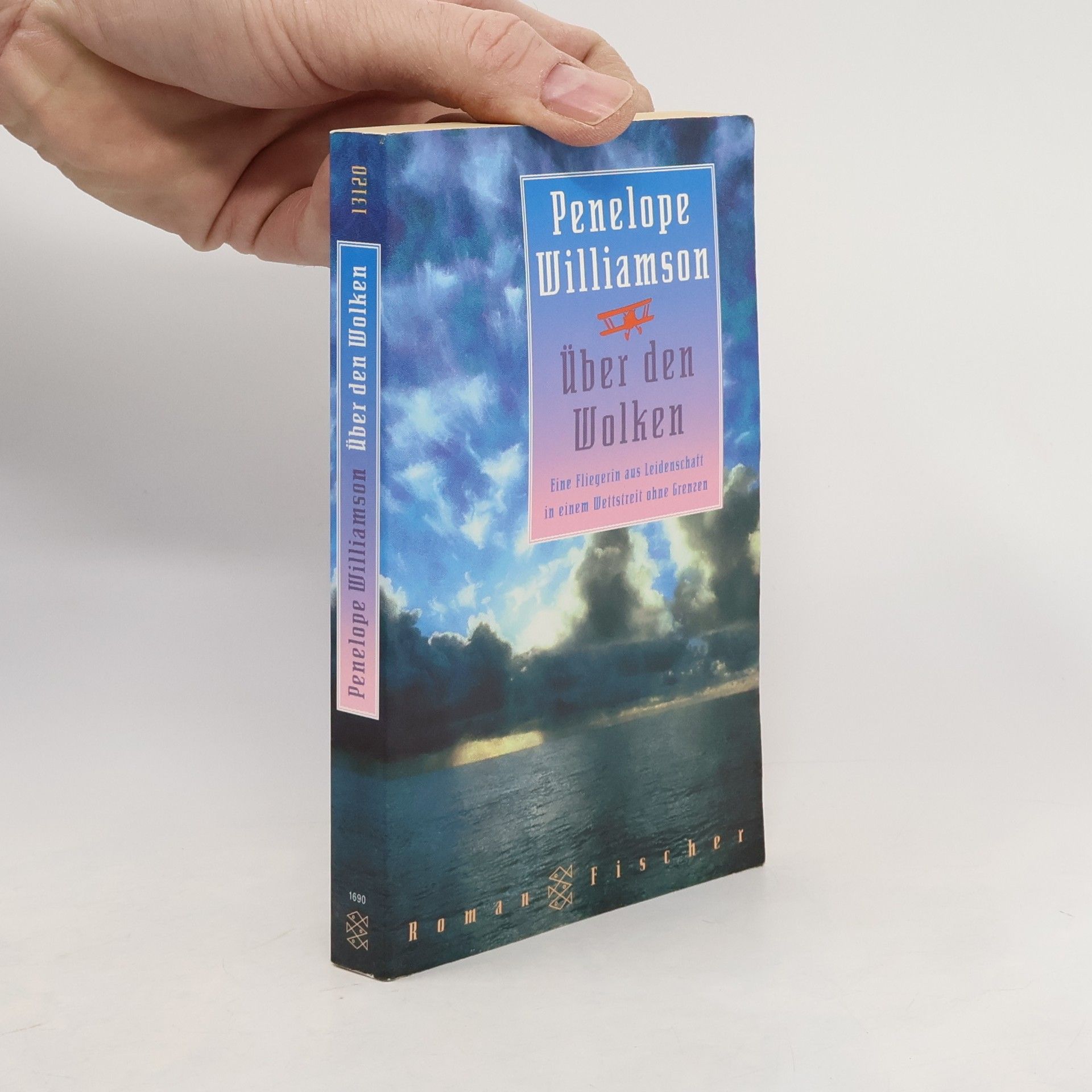 Penelope Williamson Über den Wolken