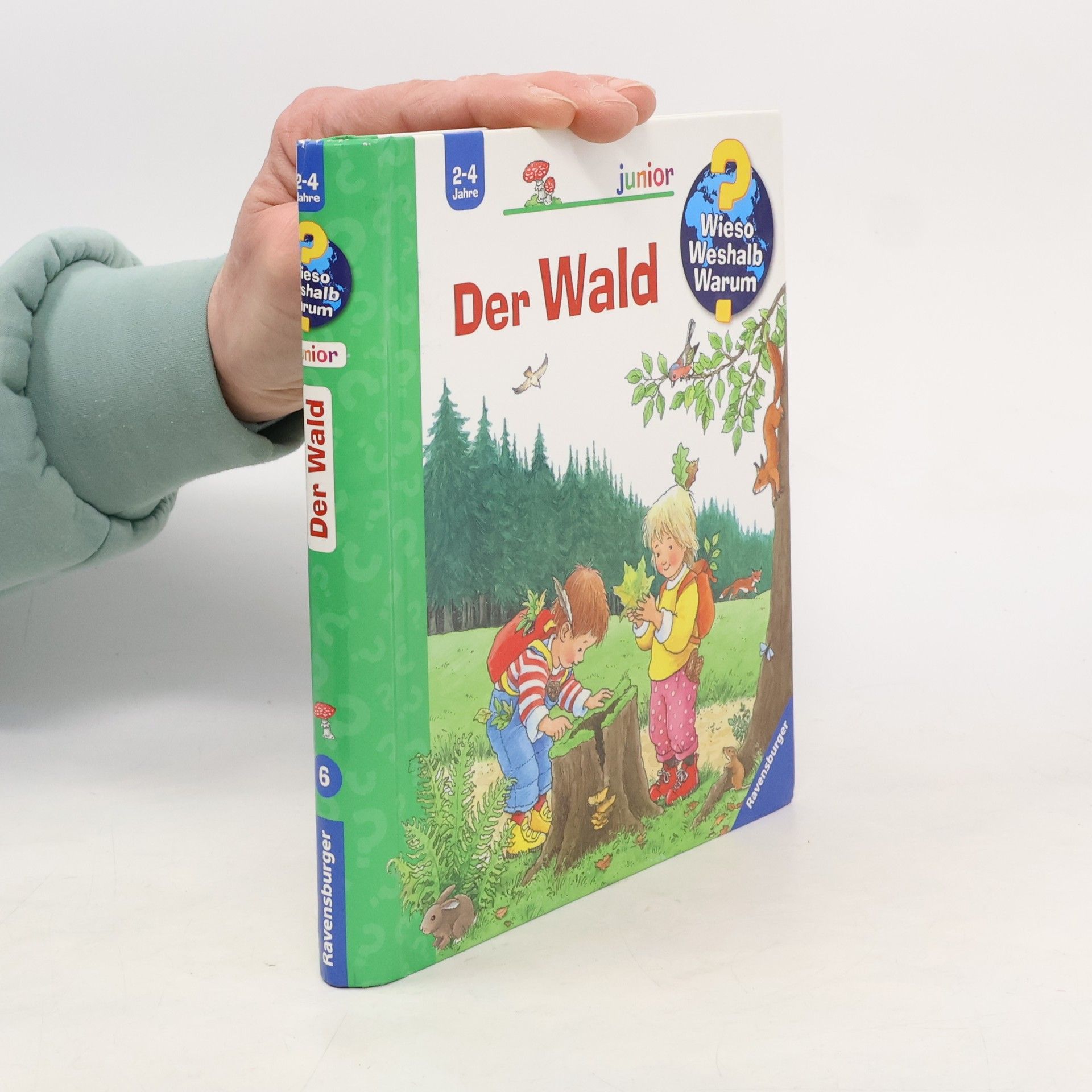 Angela Weinhold Der Wald