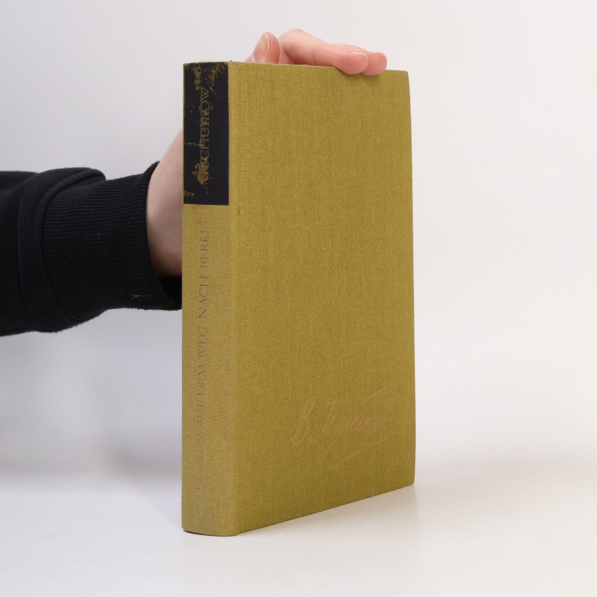 Vasilij I. Tschuikow Gardisten auf dem Weg nach Berlin