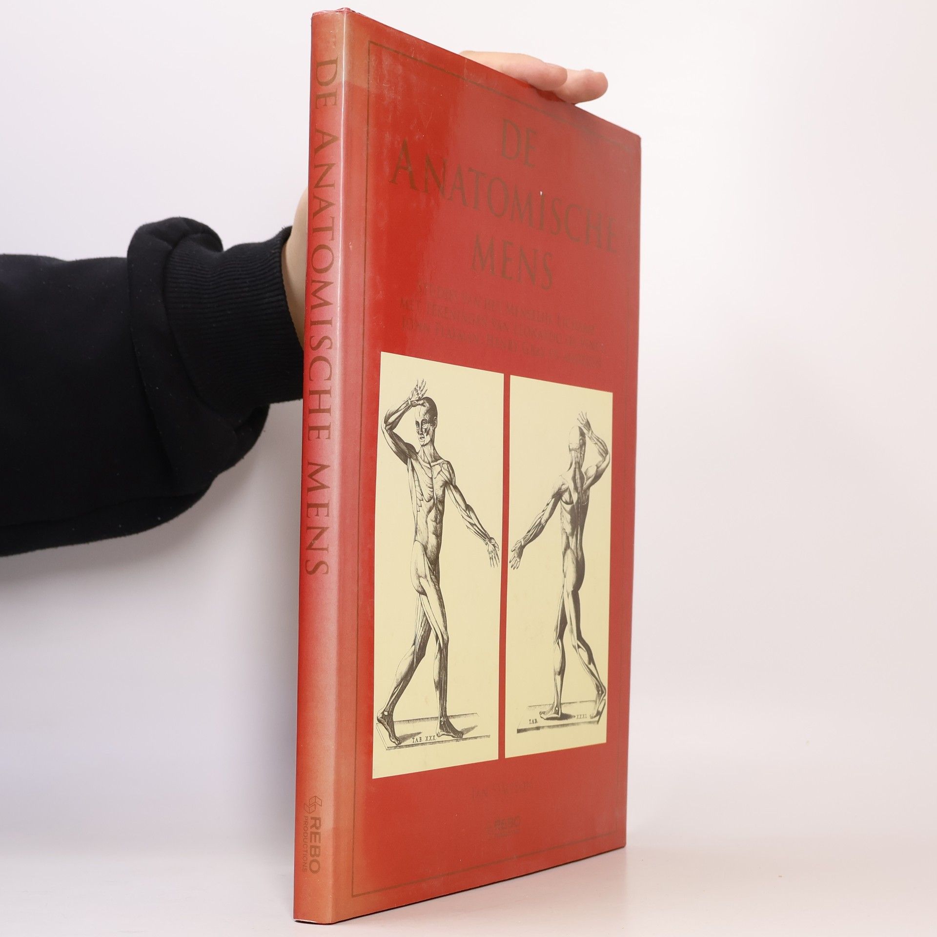 Henri Gastaut De Anatomische Mens