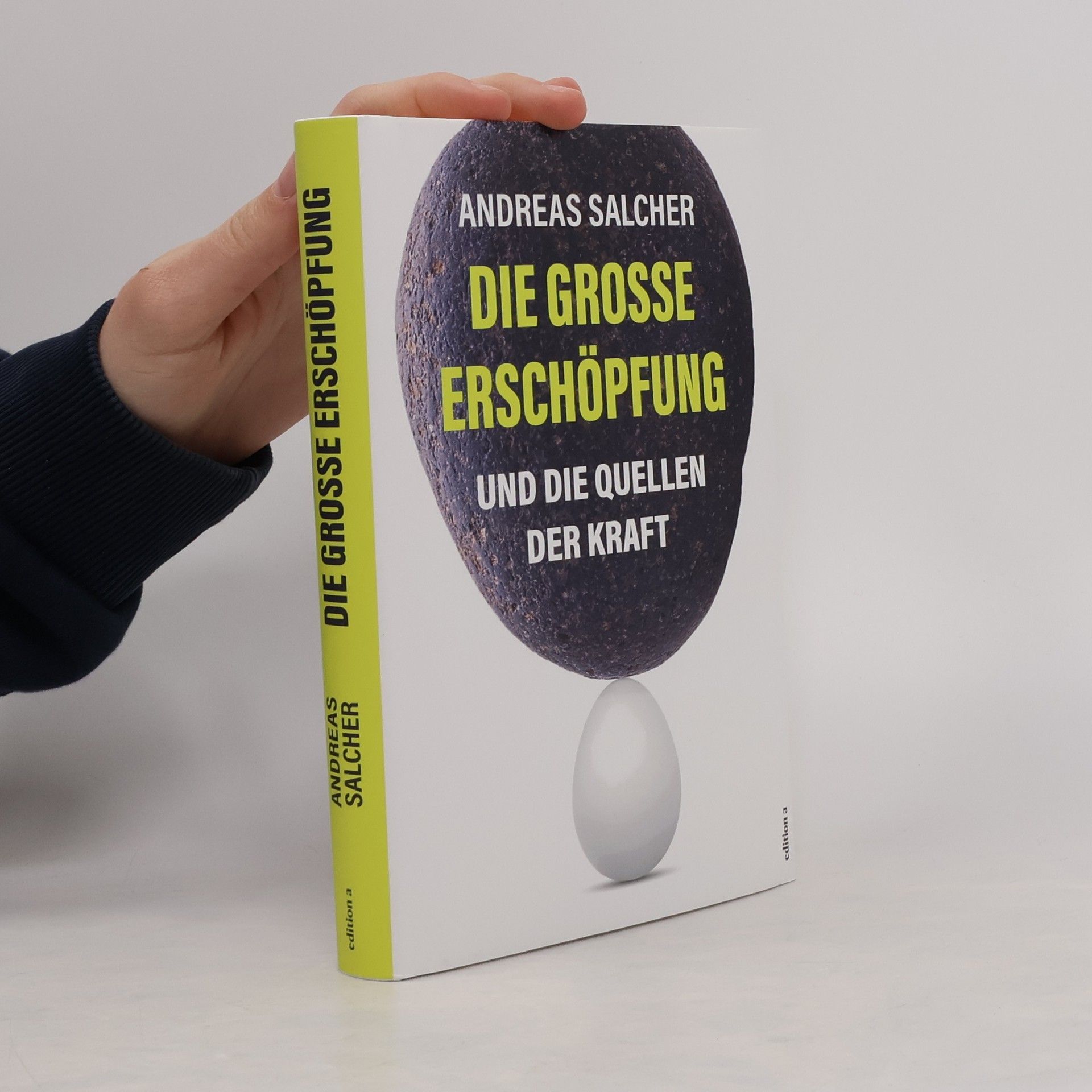 Andreas Salcher Die grosse Erschöpfung und die Quellen der Kraft