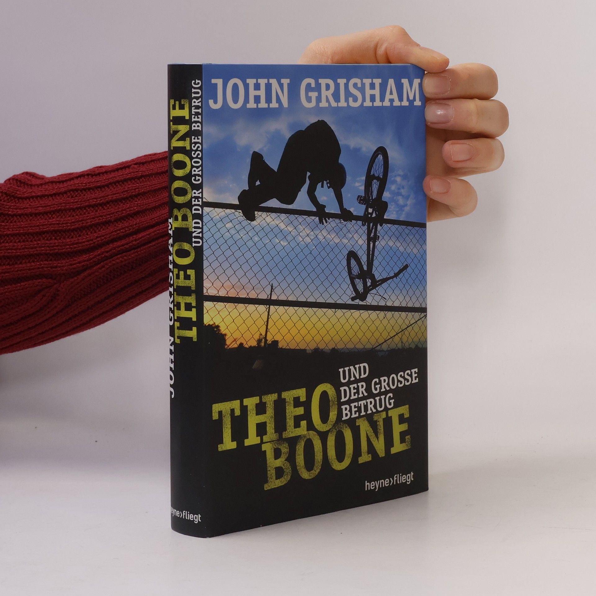 John Grisham Theo Boone und der grosse Betrug