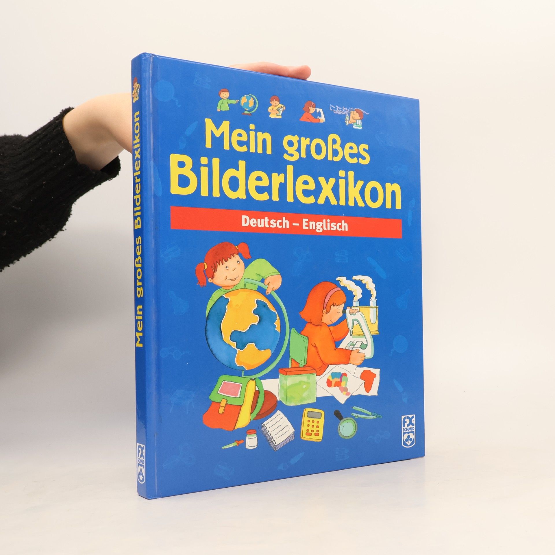 Kolektív autorov Mein großes Bilderlexikon