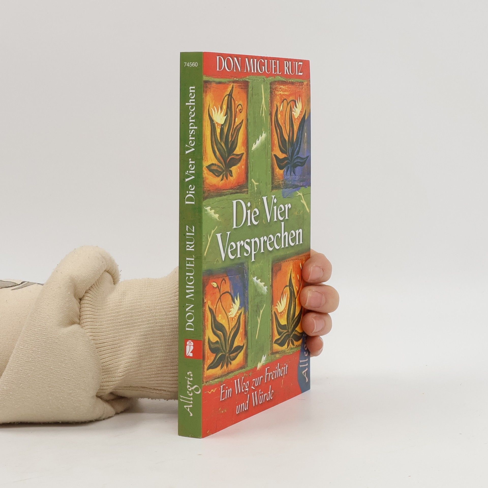 Don Miguel Ruiz Die vier Versprechen