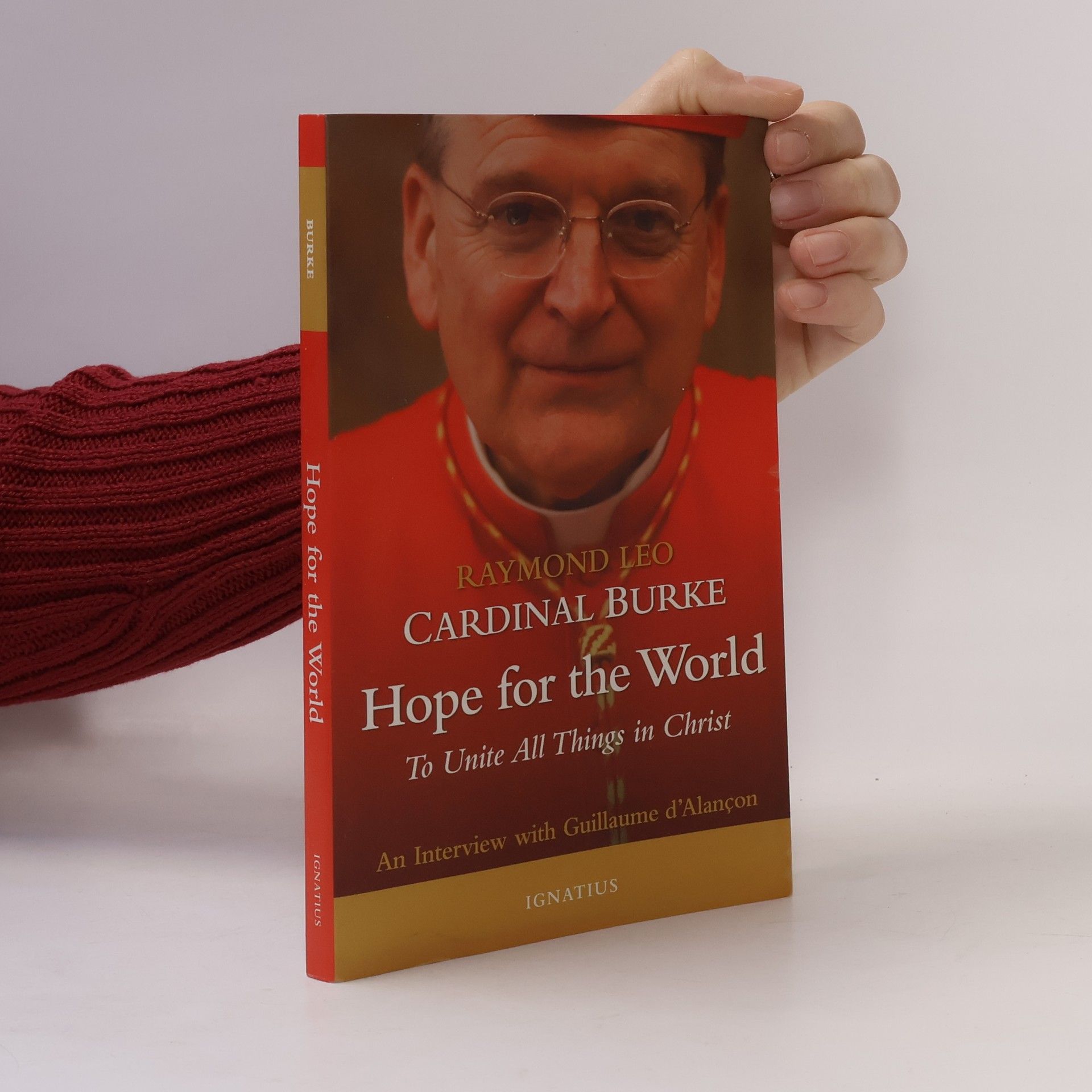 Guillaume d'Alançon Hope for the World: To Unite All Things in Christ