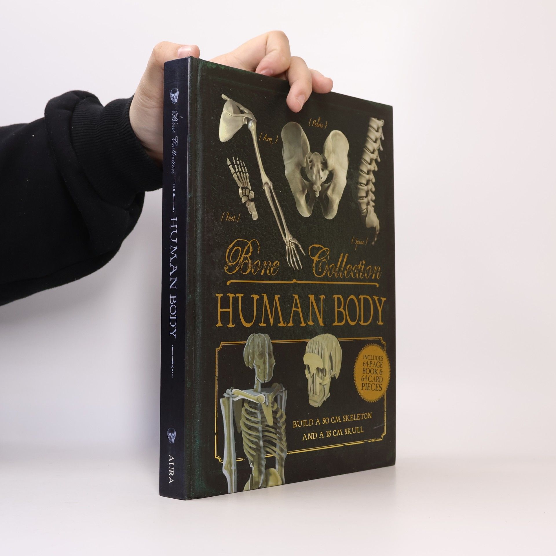 Rob Colson Bone Collection: Human Body