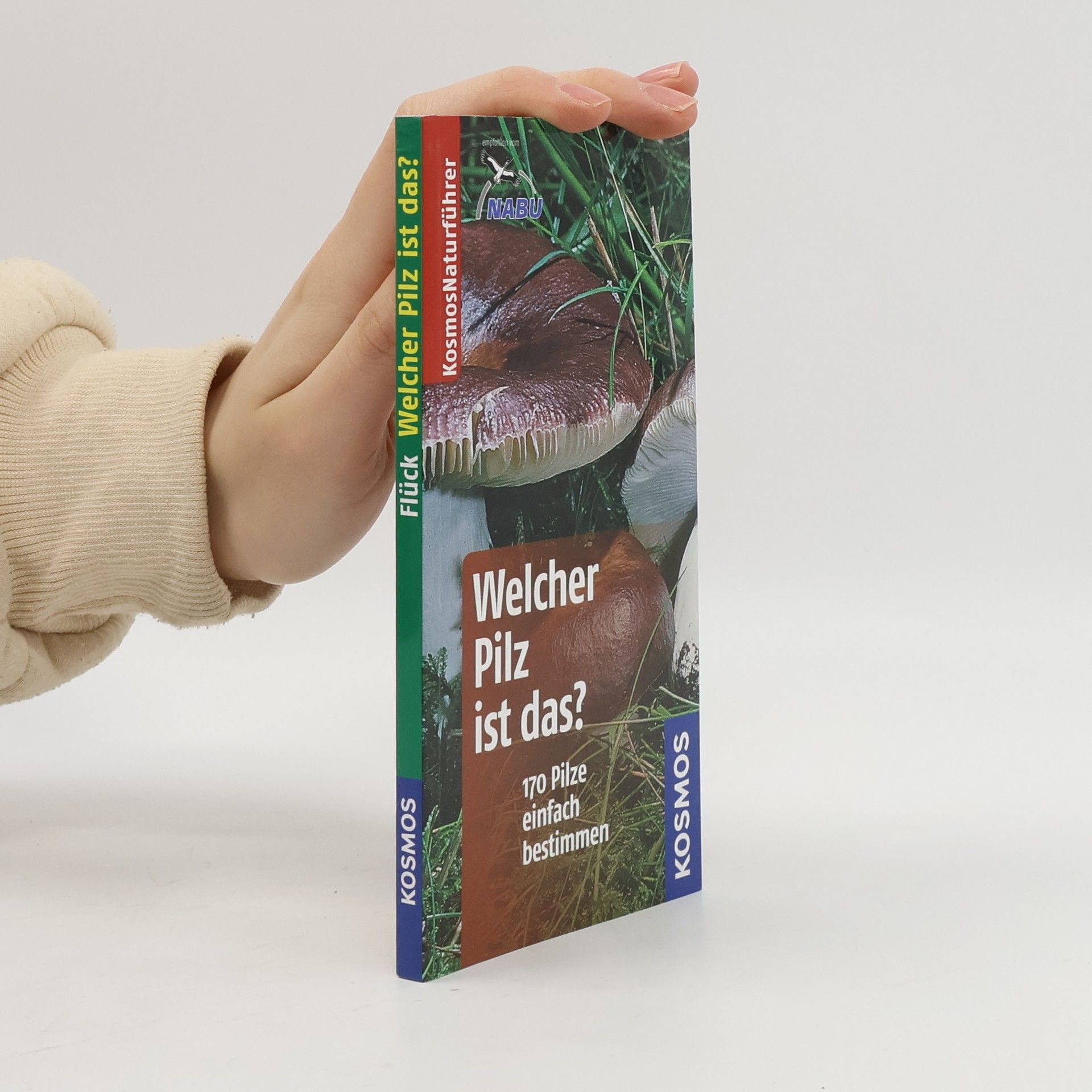 Markus Flück Welcher Pilz ist das?