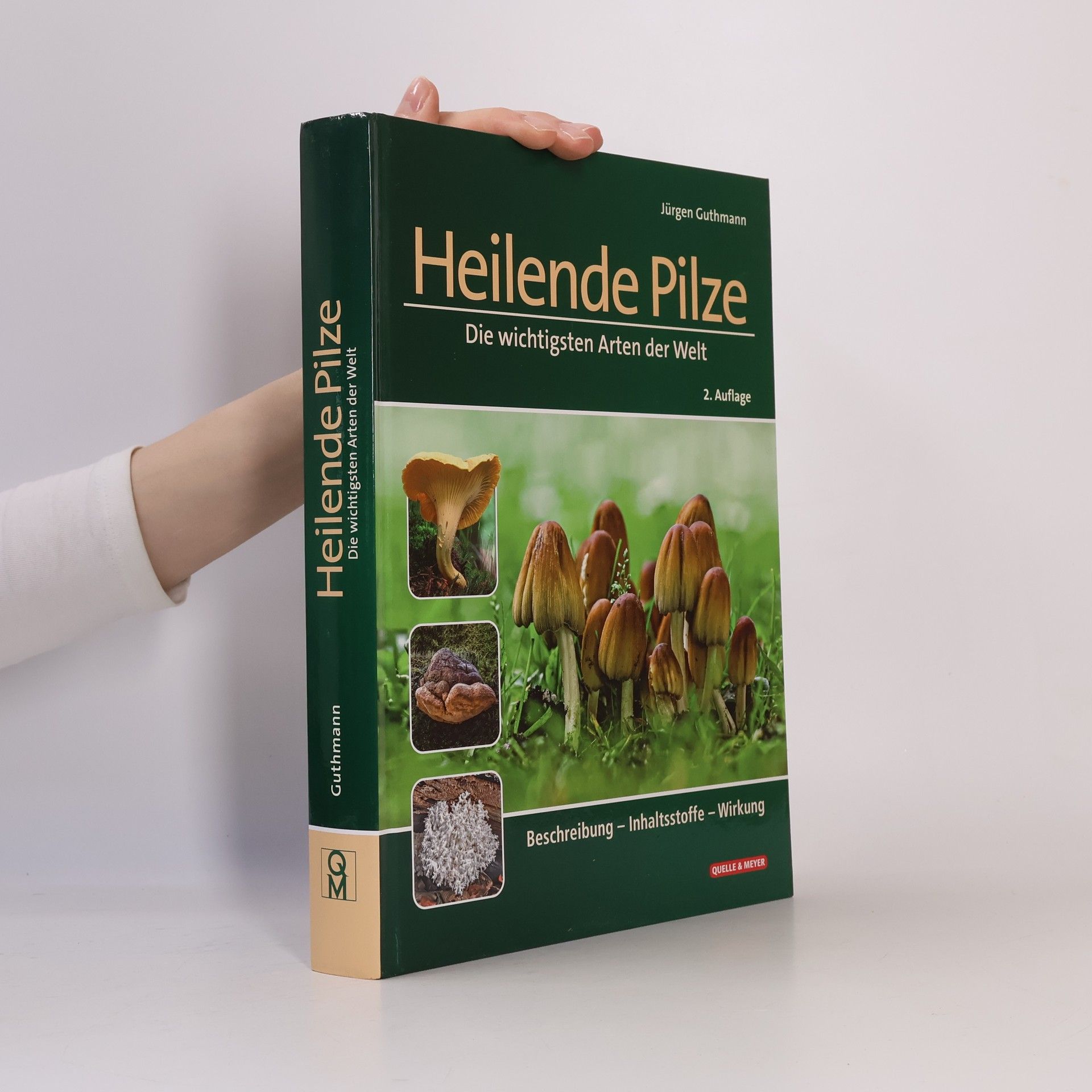 Jürgen Guthmann Heilende Pilze