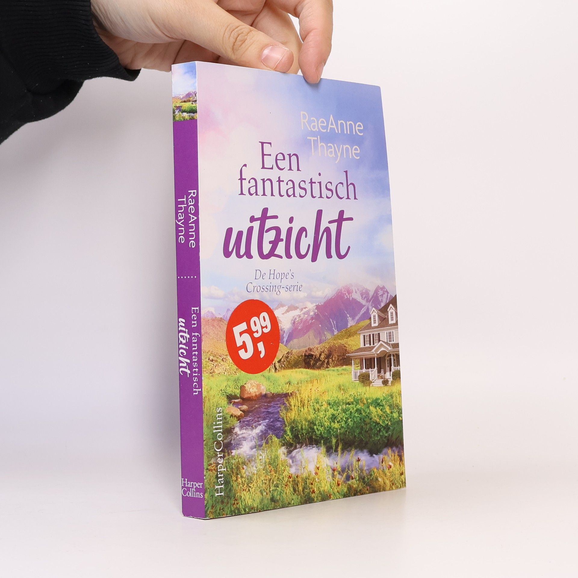 Thayne RaeAnne De Hope's Crossing-serie: Een fantastisch uitzicht (Special)