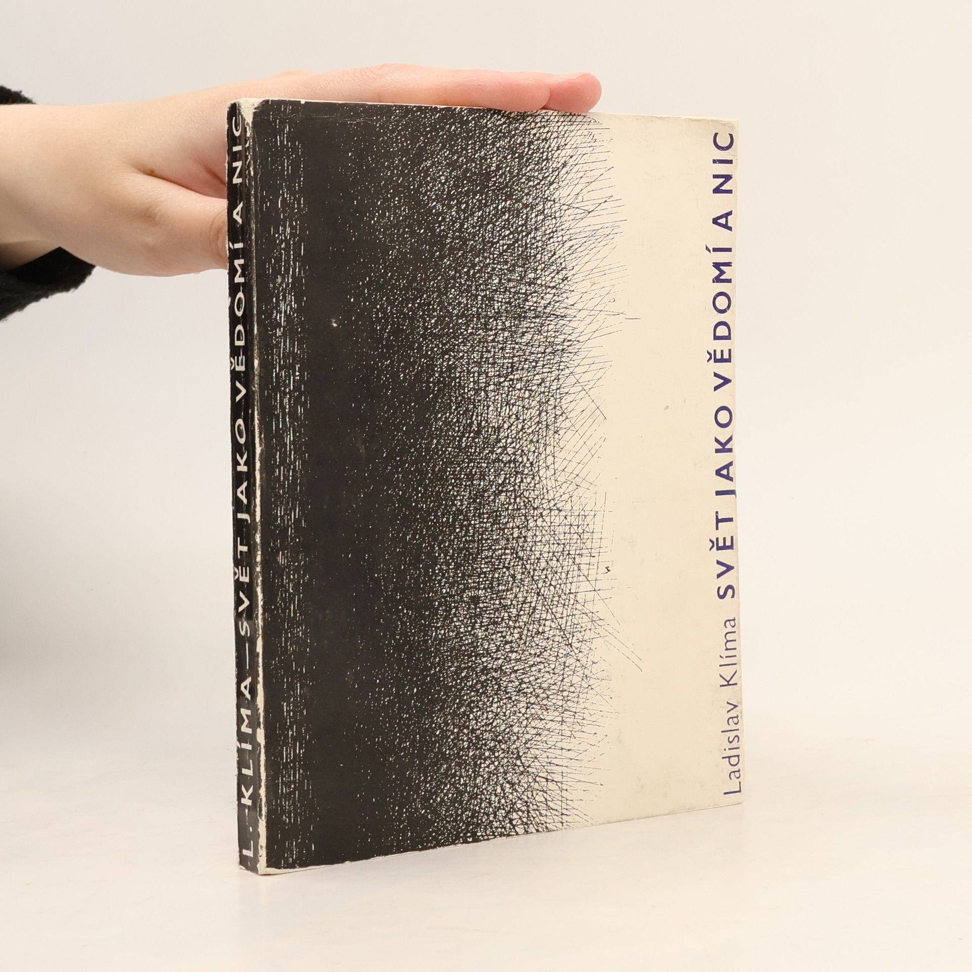 Svět jako vědomí a nic