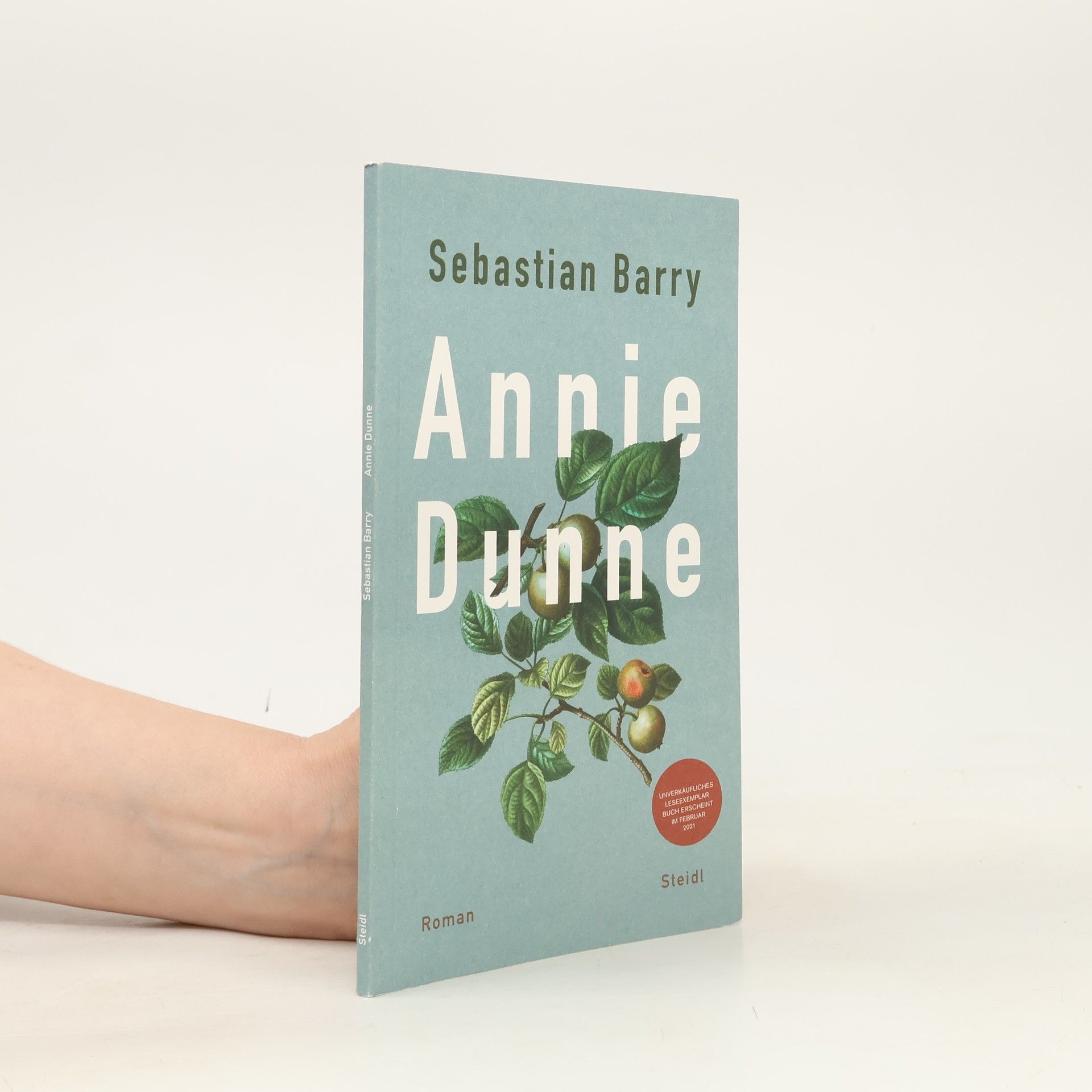 Sebastian Barry Tausend Monde