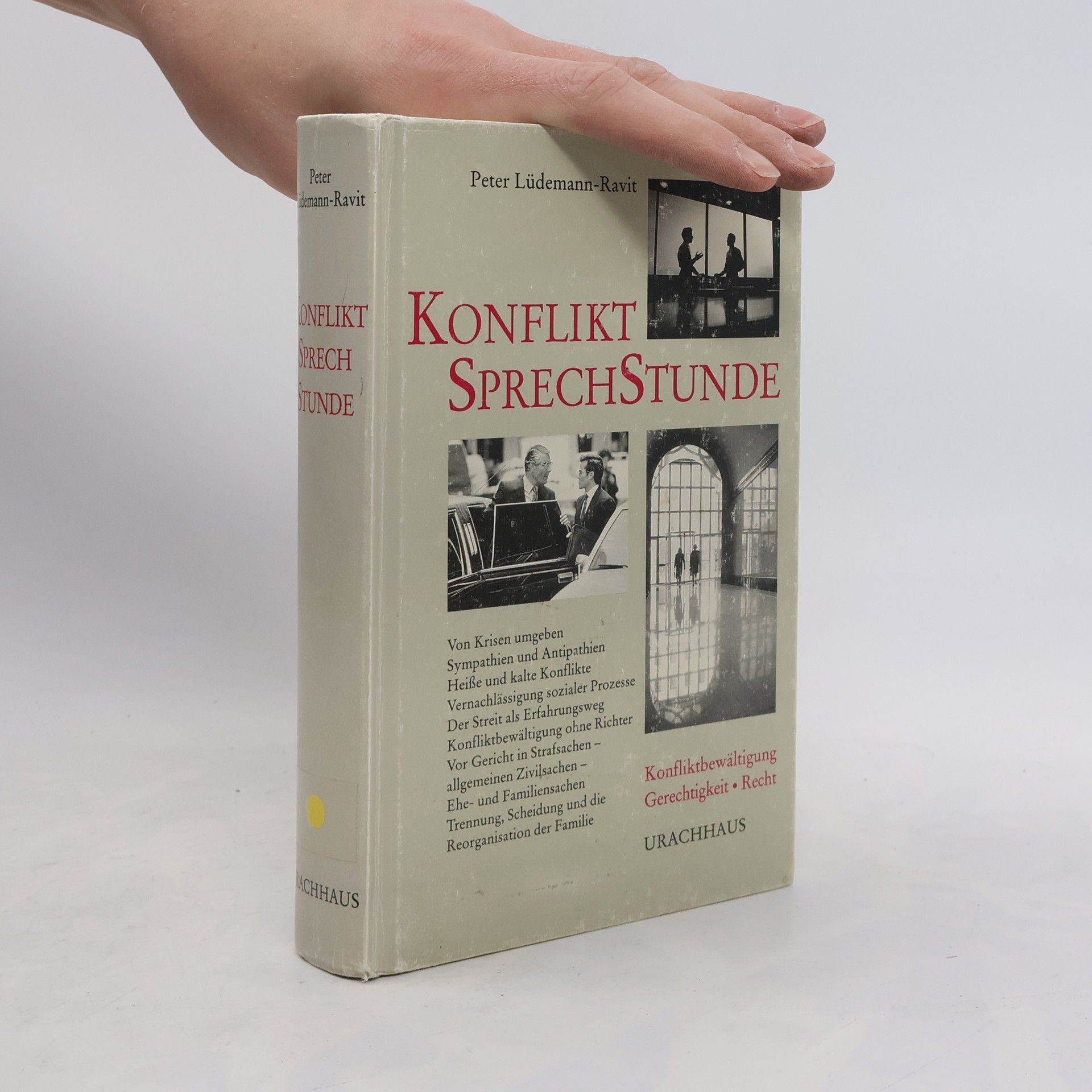 Peter Lüdemann-Ravit Konflikt-Sprechstunde