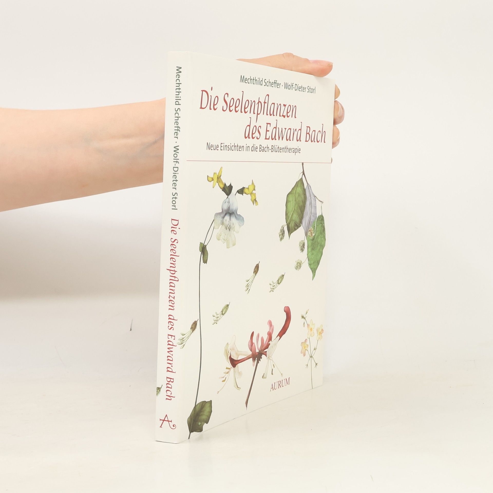 Mechthild Scheffer Die Seelenpflanzen des Edward Bach