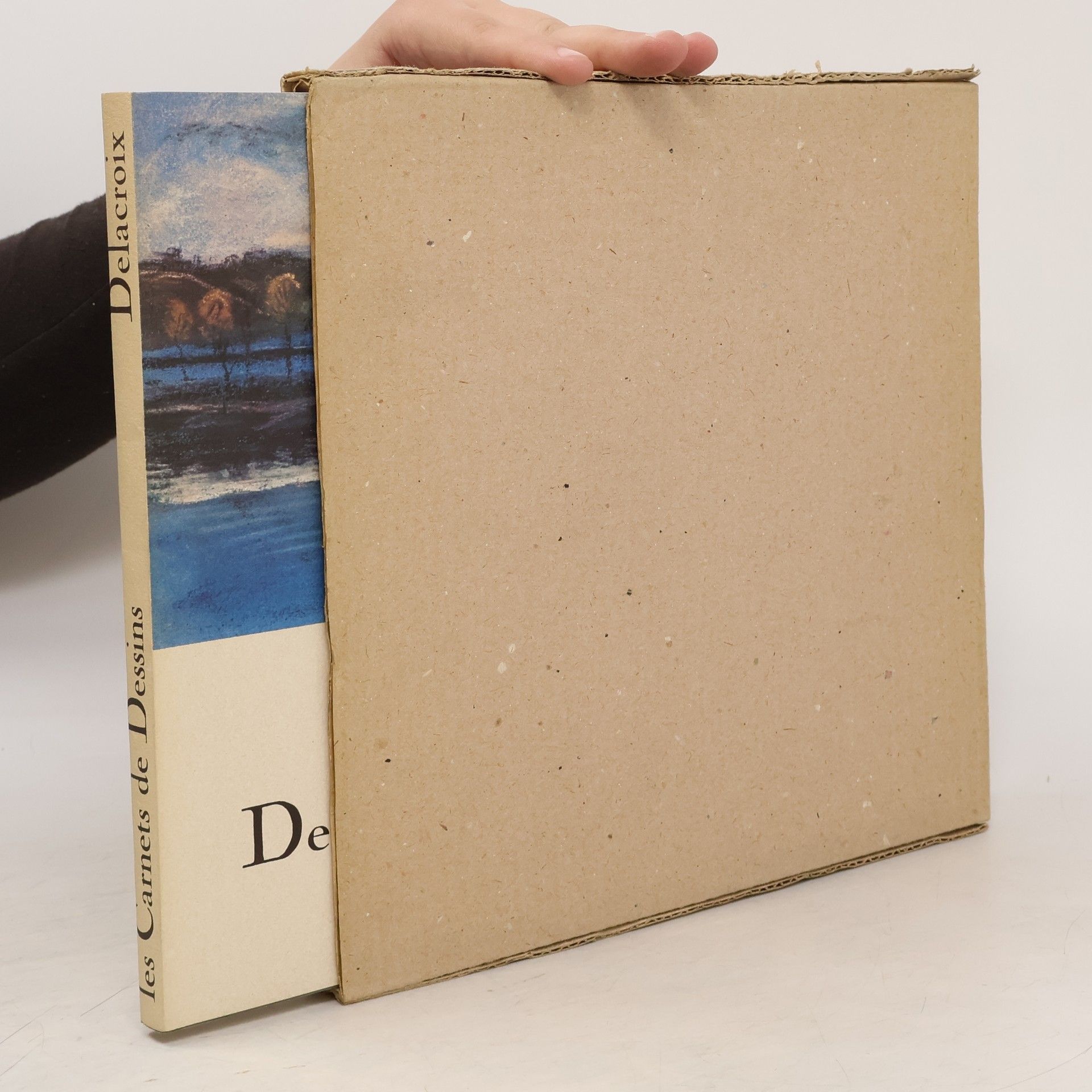 Les Carnets de Dessins. Delacroix