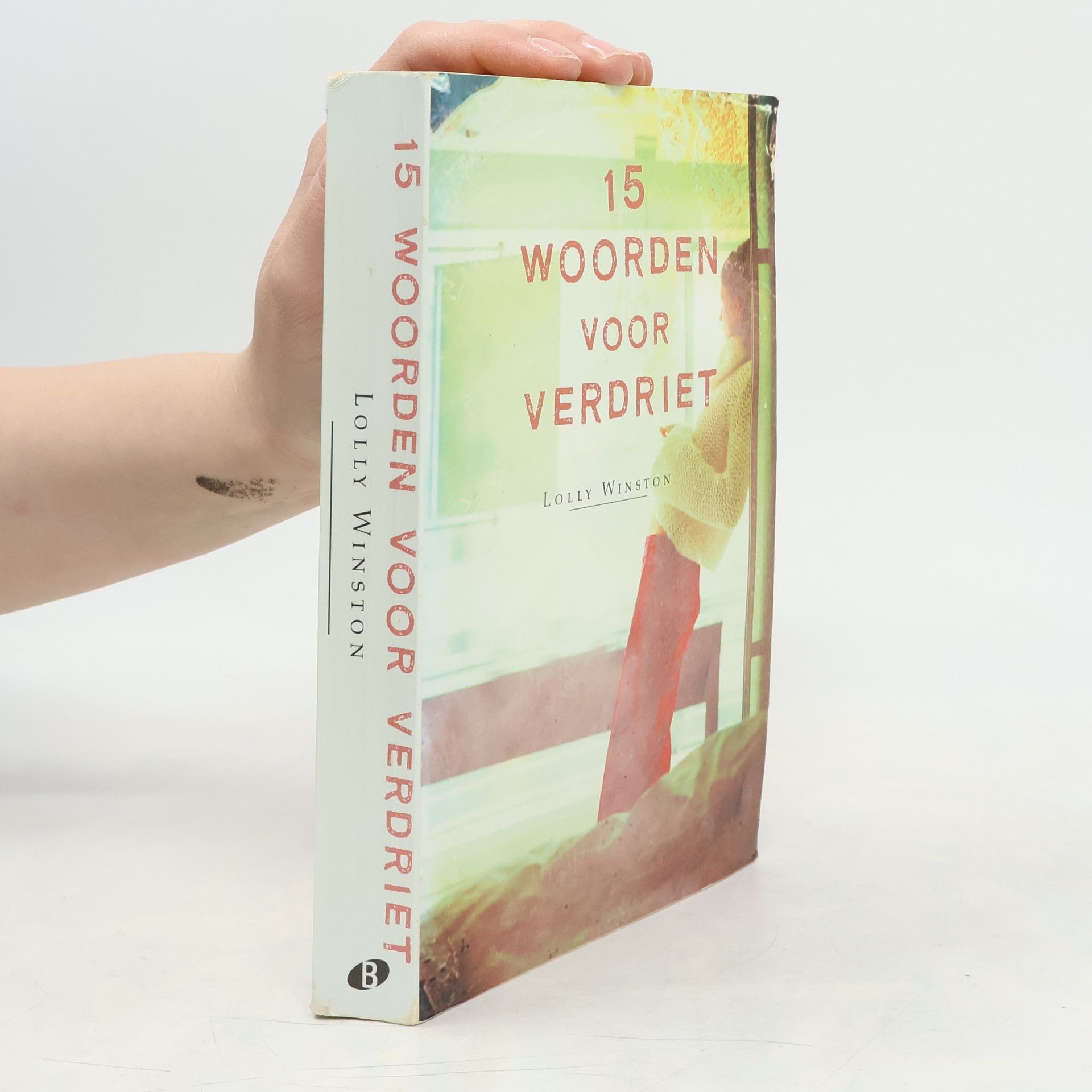 Lolly Winston 15 woorden van verdriet